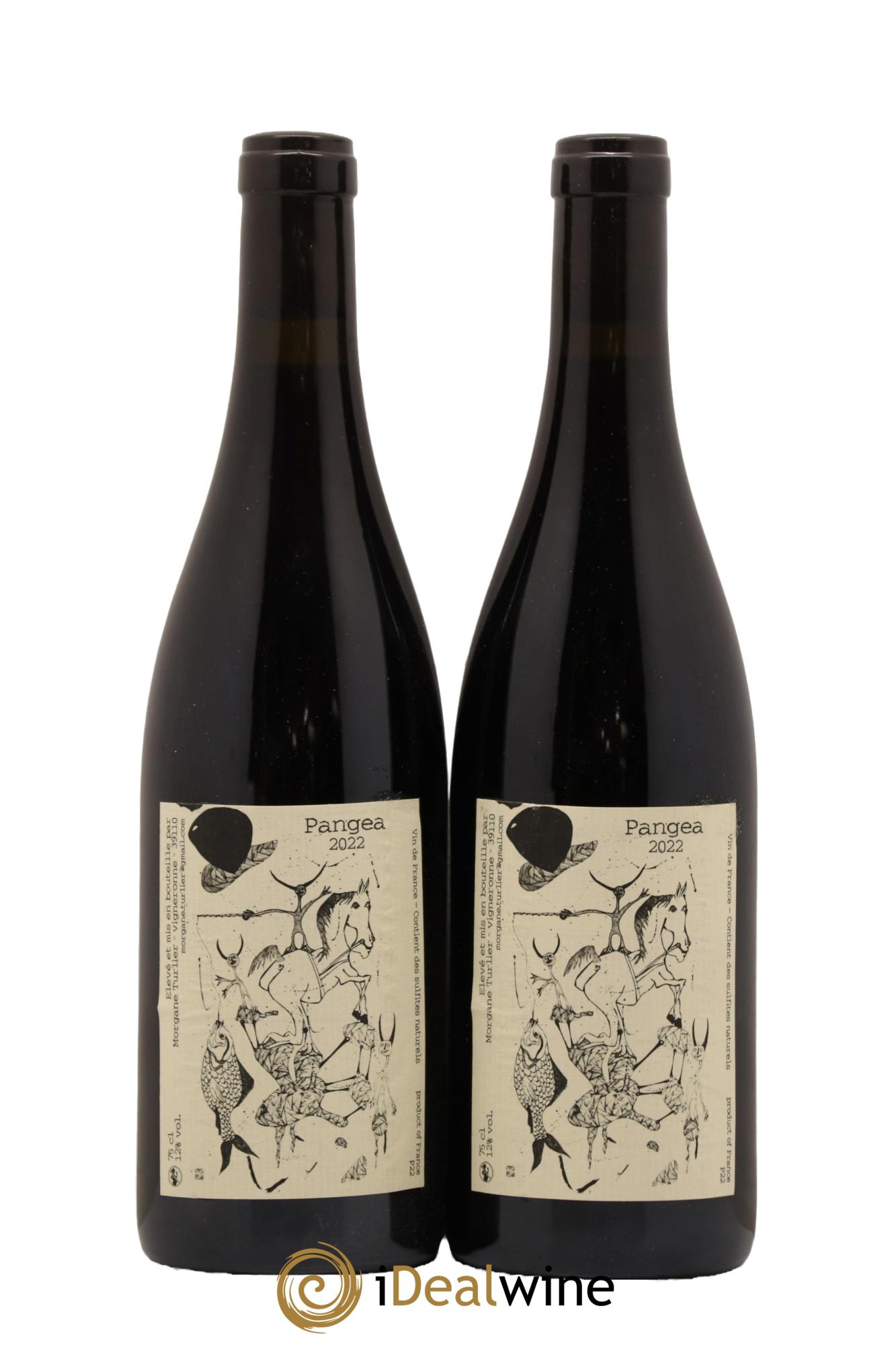 Vin de France Pangea Morgane Turlier 2022 - Lot de 2 bouteilles - 0