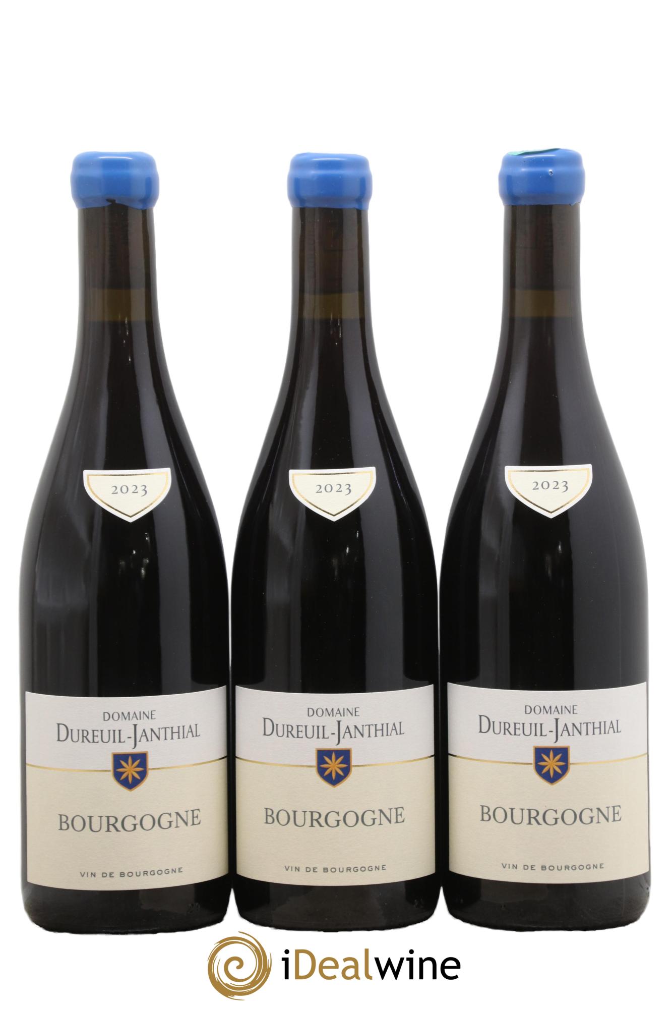 Bourgogne Pinot Noir Vincent Dureuil-Janthial 2023 - Lotto di 3 bottiglie - 0