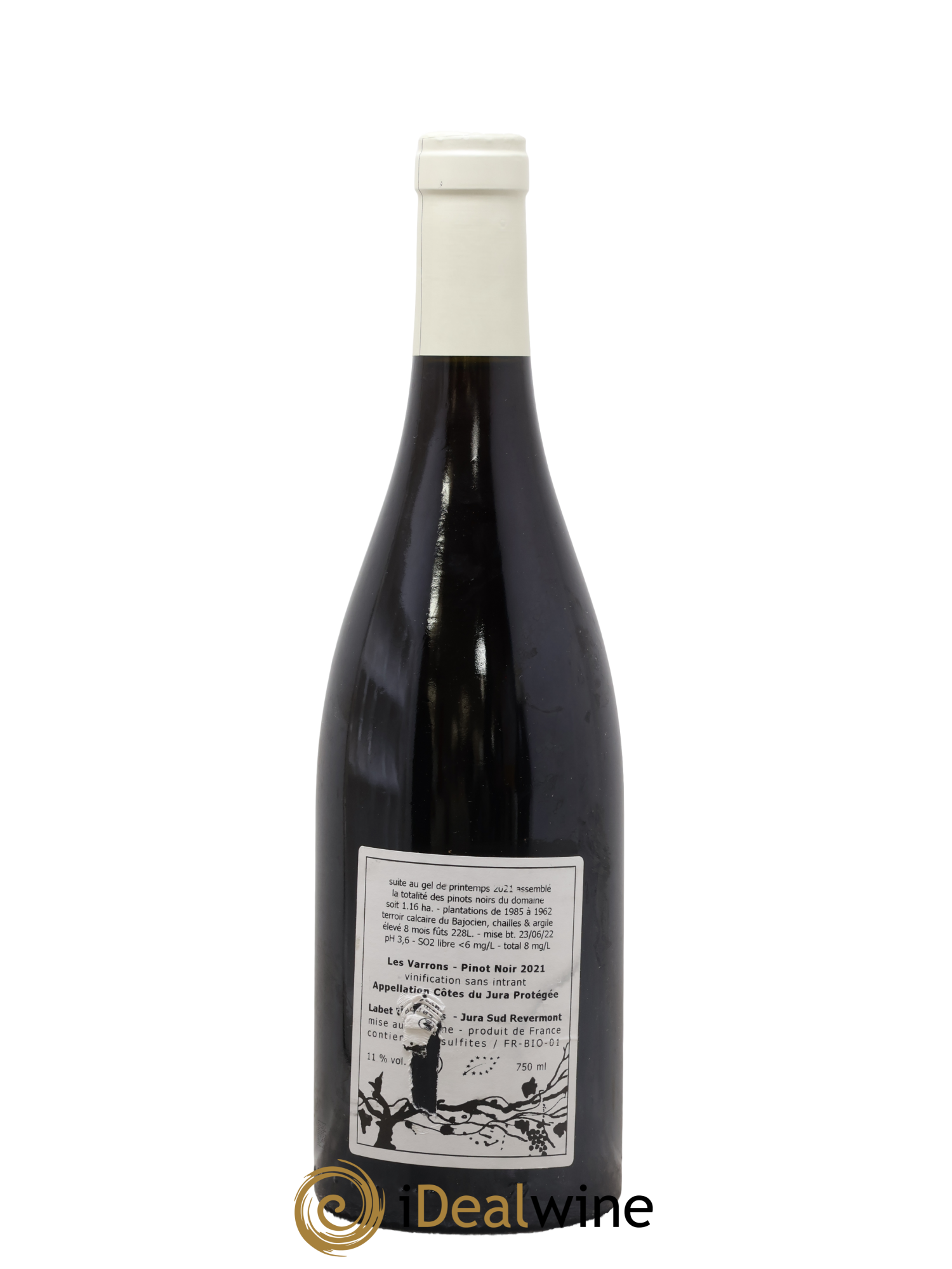 Côtes du Jura Pinot Noir Les Varrons Romain - Julien - Charline Labet 2021 - Lot de 1 bouteille - 1