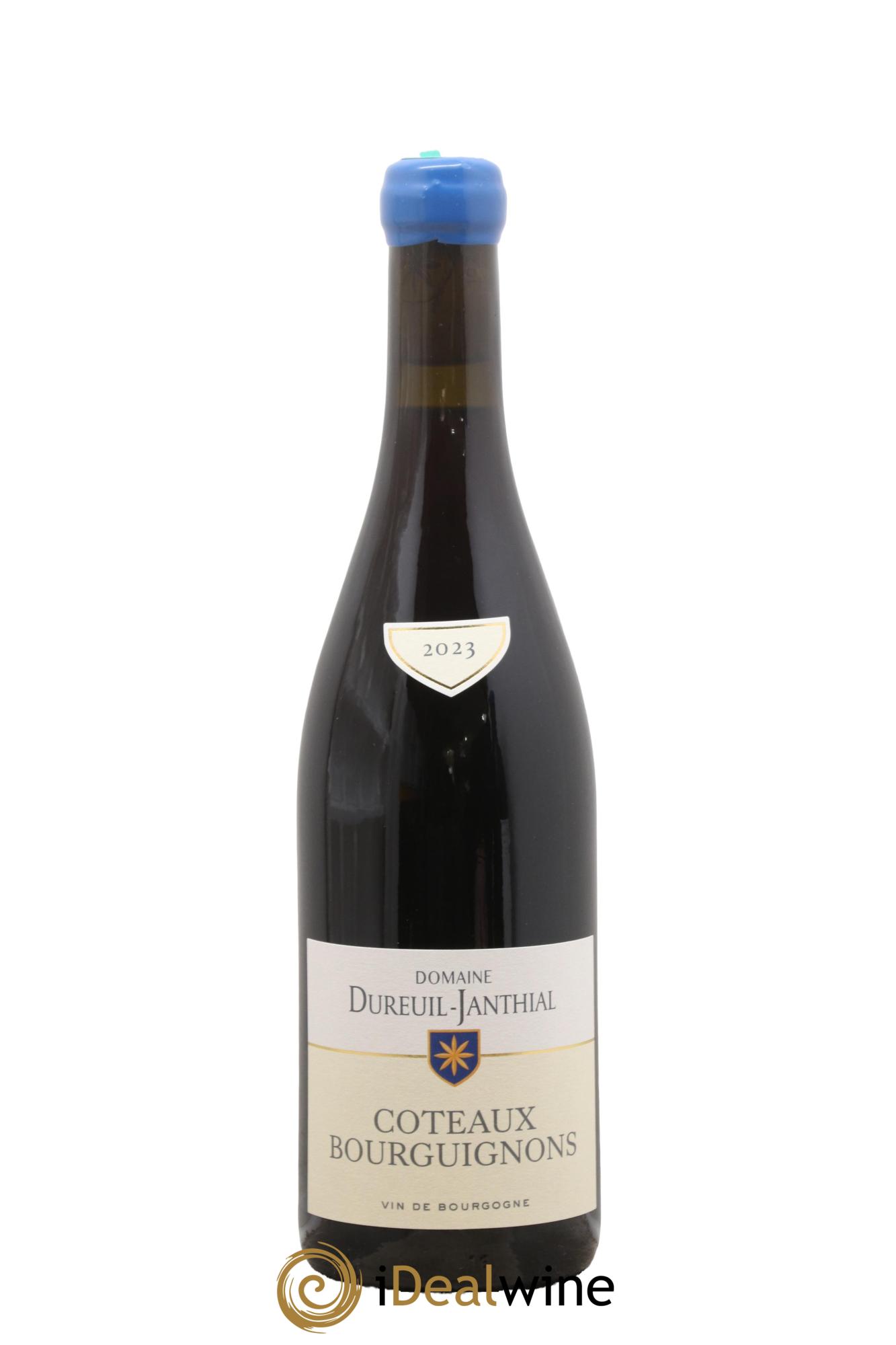 Côteaux Bourguignons Vincent Dureuil-Janthial 2023 - Lotto di 1 bottiglia - 0