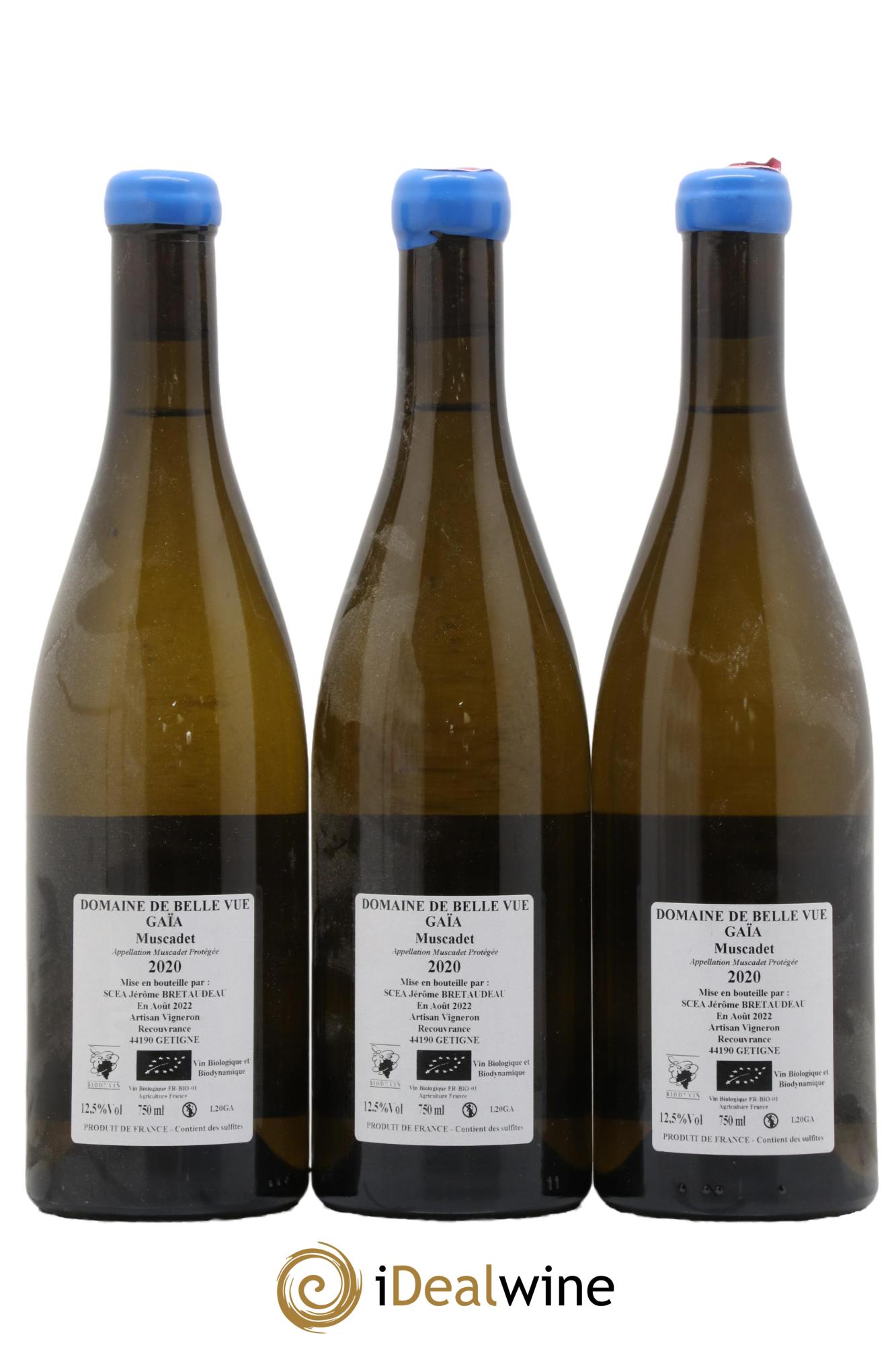 Muscadet-Sèvre-et-Maine Gaia Jérôme Bretaudeau - Domaine de Bellevue 2020 - Lotto di 3 bottiglie - 1