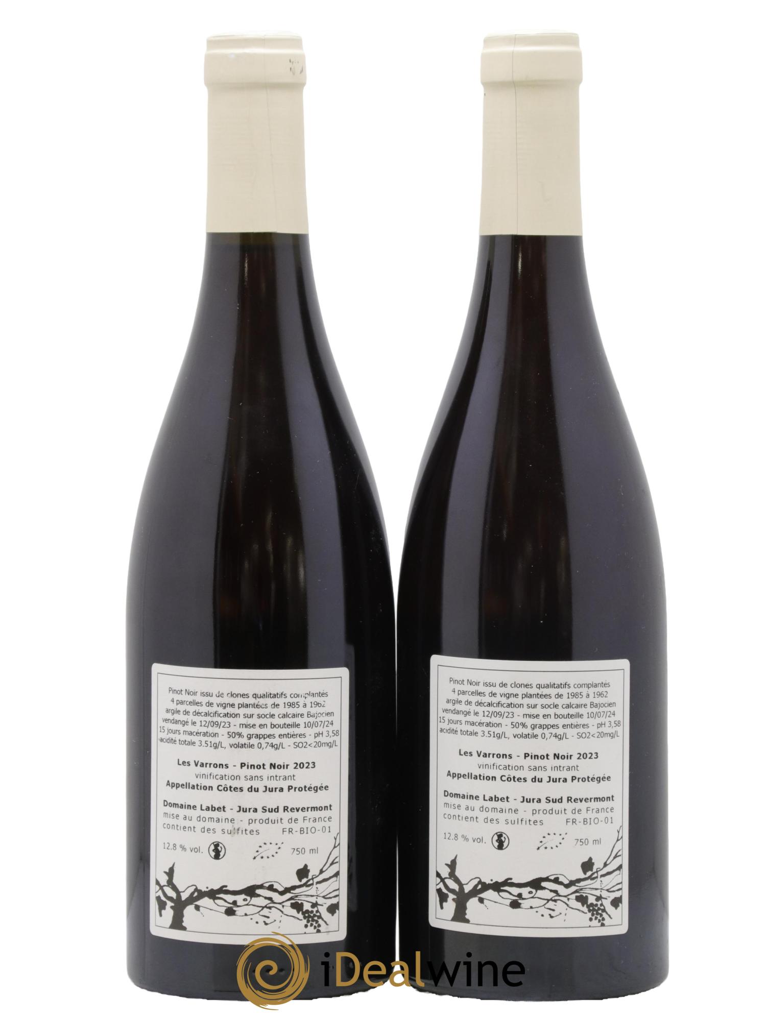 Côtes du Jura Pinot Noir Les Varrons Sélection Clonale Romain - Julien  - Charline Labet 2023 - Lot of 2 bottles - 1