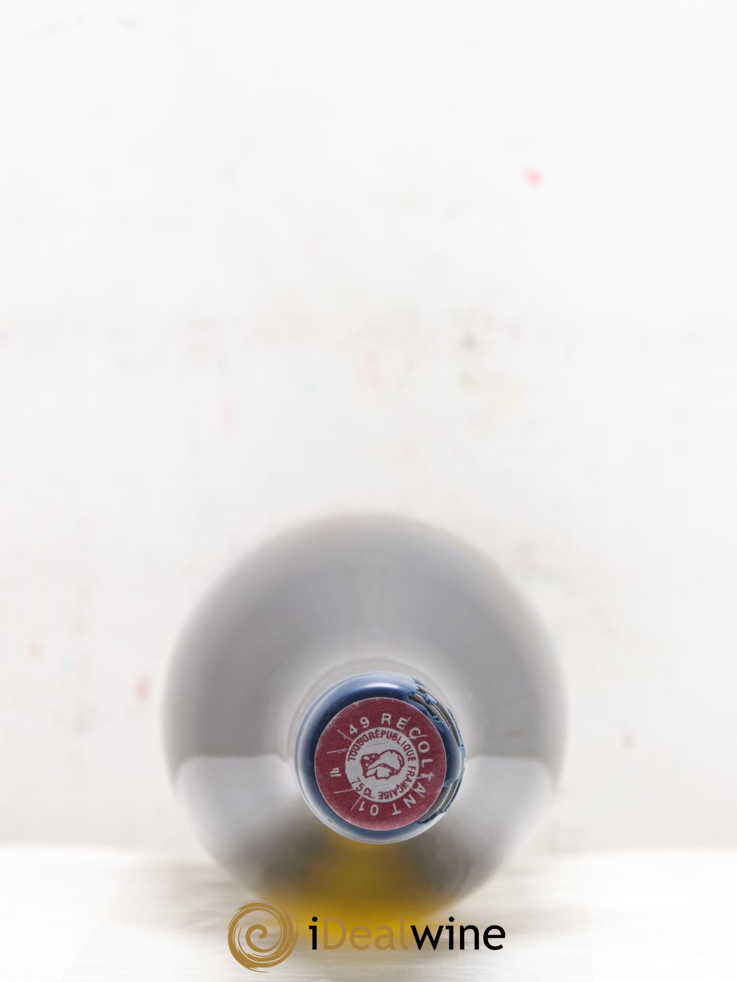 Vin de France Les Nourrissons Stéphane Bernaudeau 2019 - Lot de 1 bouteille - 1