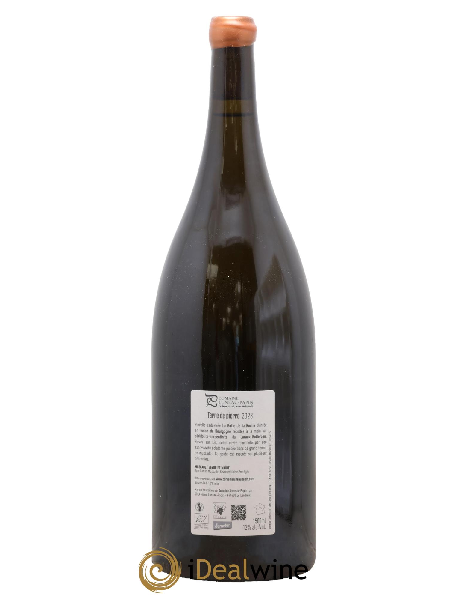 Muscadet-Sèvre-et-Maine sur lie Terre de Pierre Luneau-Papin 2023 - Lot de 1 magnum - 1