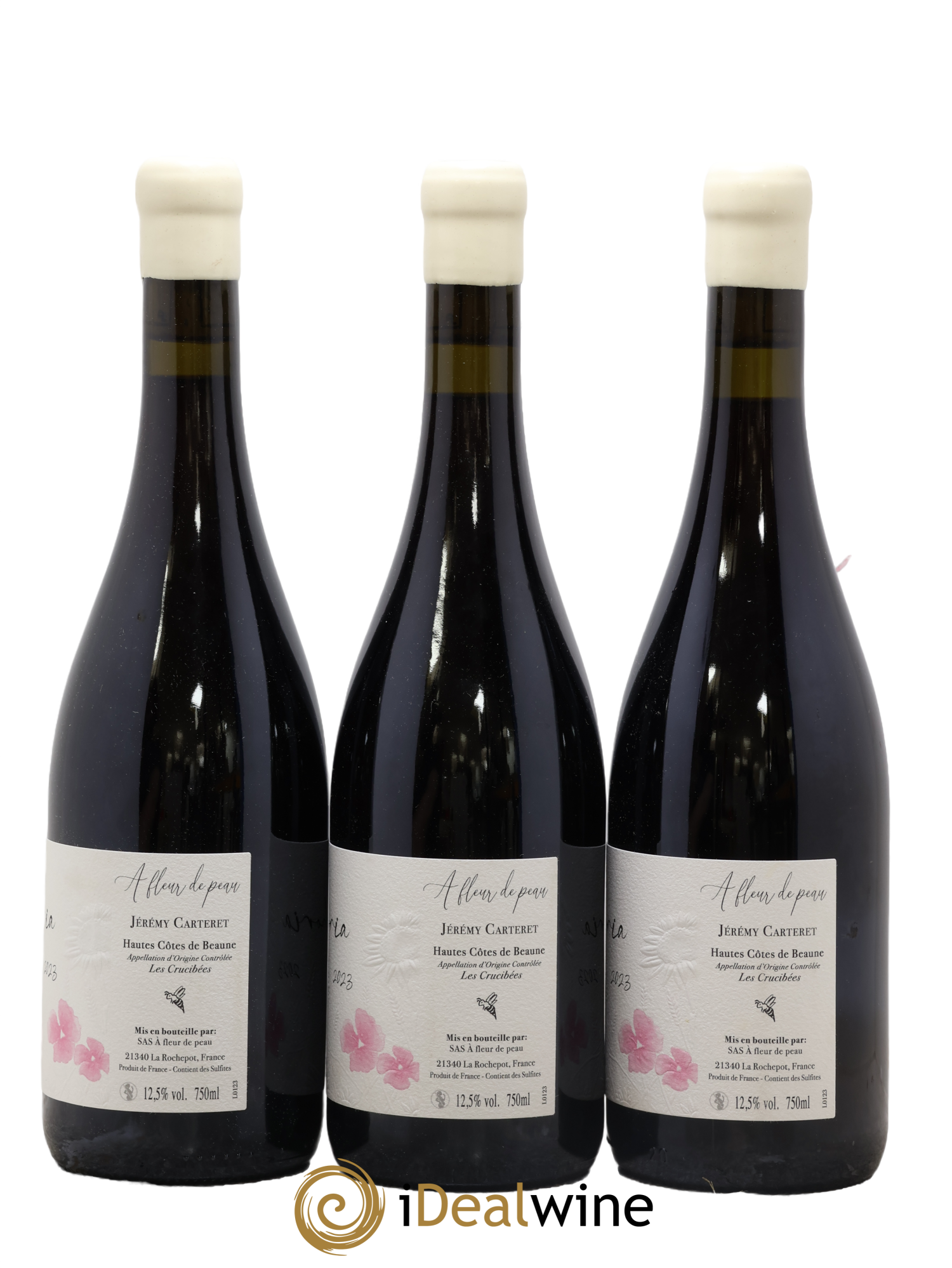 Hautes-Côtes de Beaune Euphoria Les Crucibées Jérémy Carteret 2023 - Lot of 3 bottles - 1