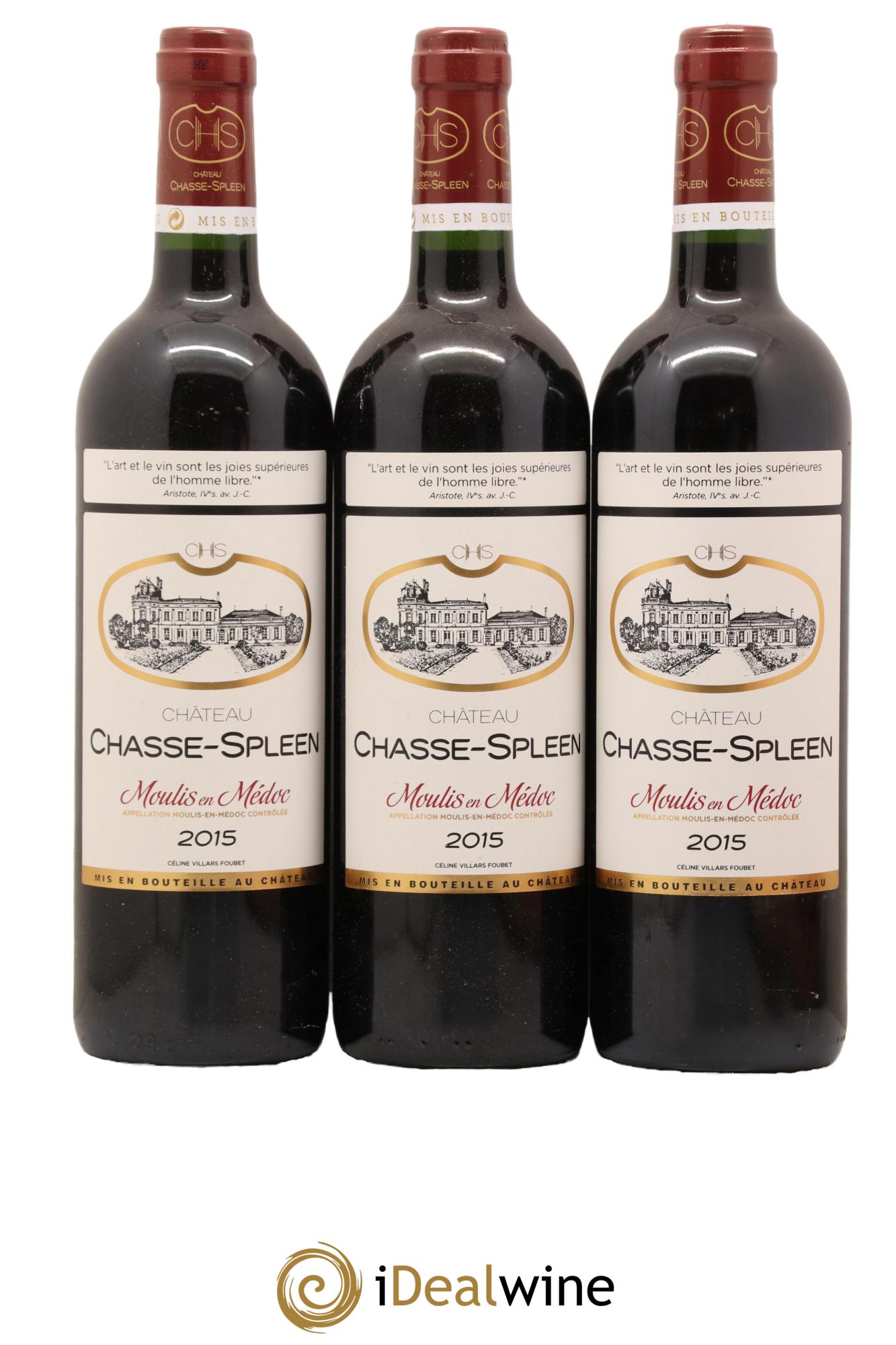 Château Chasse Spleen 2015 - Lot de 12 bouteilles - 4