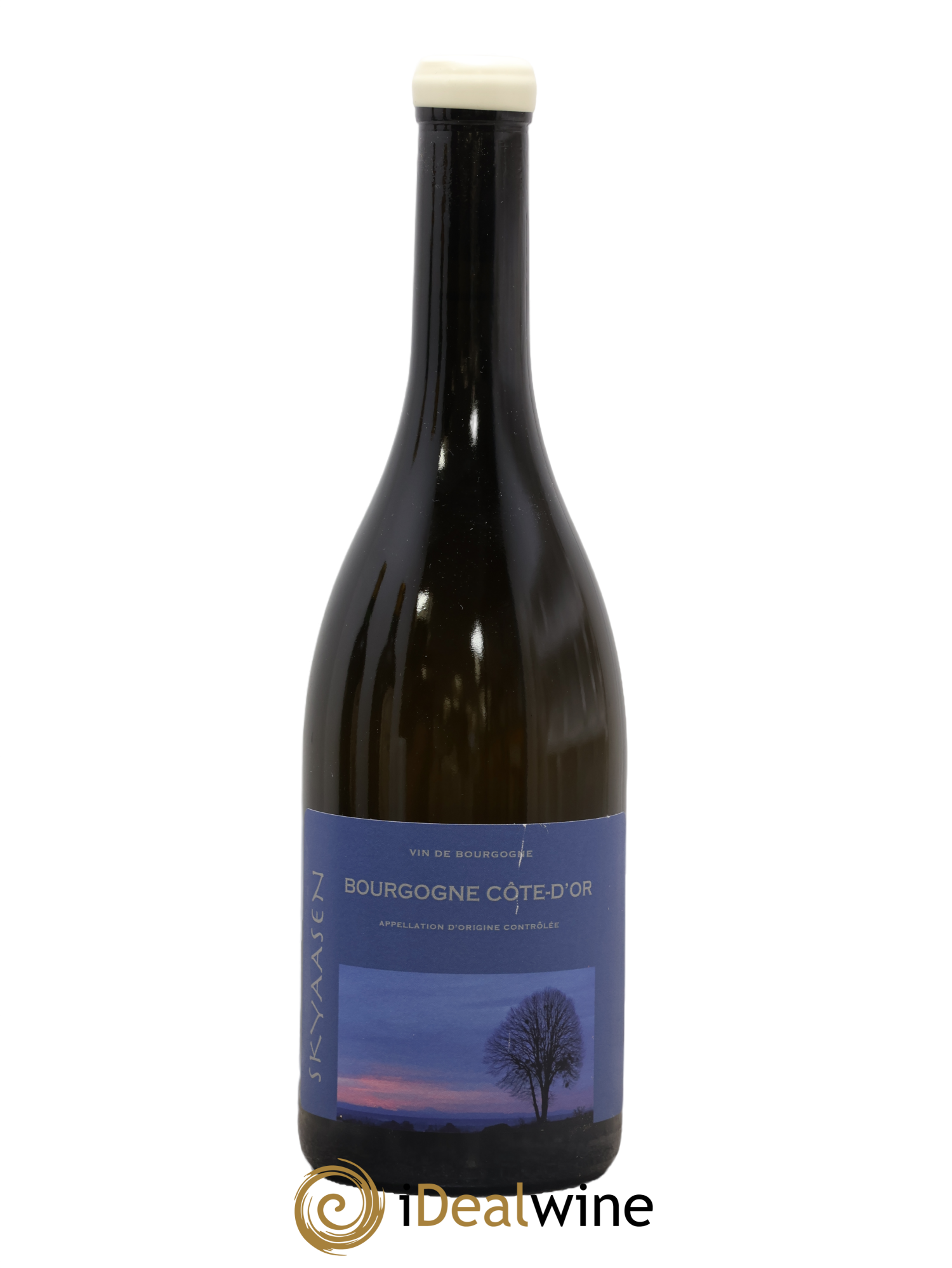 Bourgogne Côte-d'Or Maison Skyaasen 2024 - Lot of 1 bottle - 0