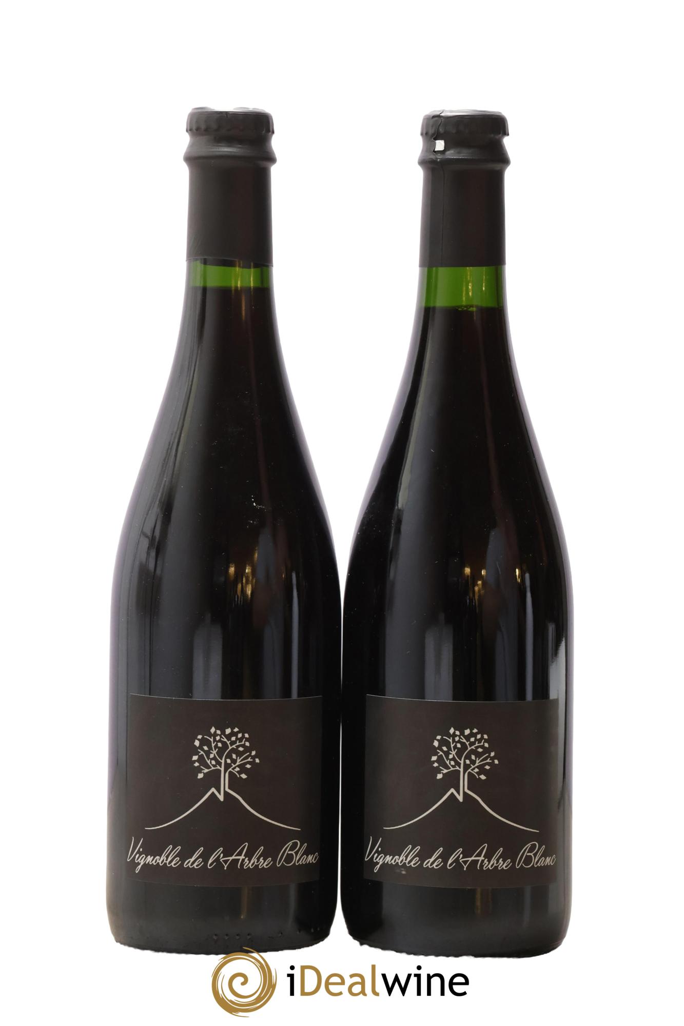 Vin de France Les Orgues Vignoble de l'Arbre Blanc 2018 - Lot de 2 bouteilles - 0