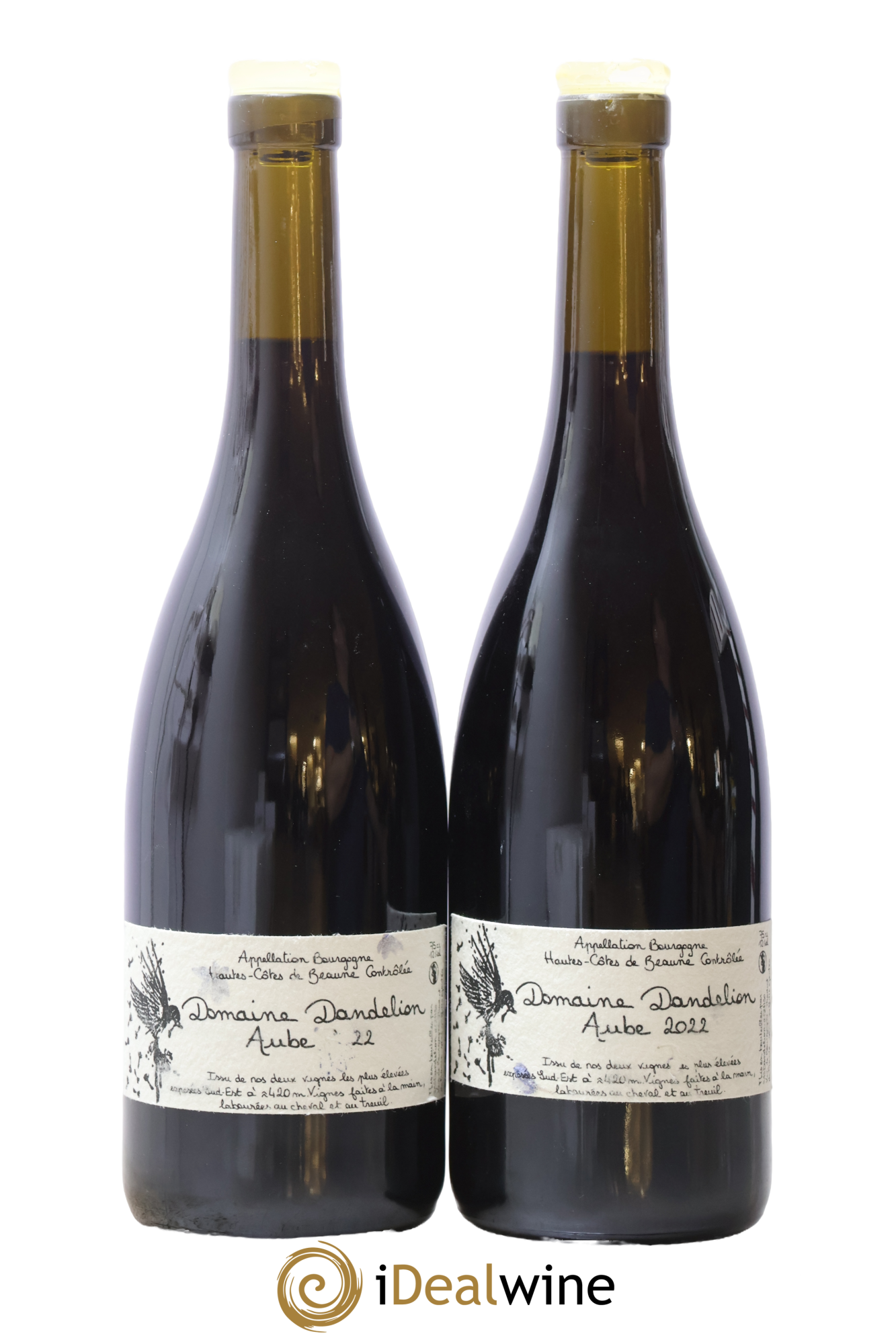 Hautes-Côtes de Beaune Aube Dandelion (Domaine) 2022 - Lot de 2 bouteilles - 0