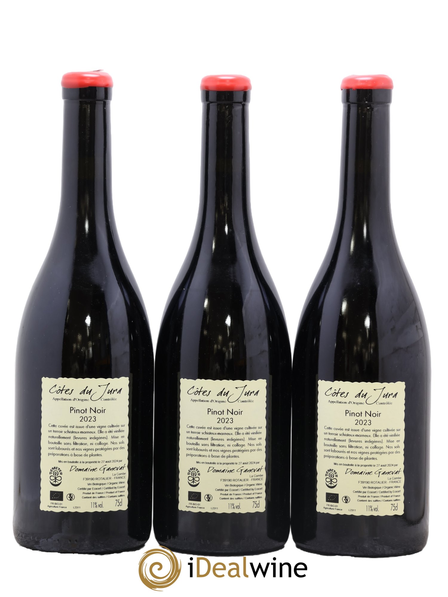 Côtes du Jura Pinot Noir En Billat  Jean-François Ganevat (Domaine) 2023 - Lot of 3 bottles - 1