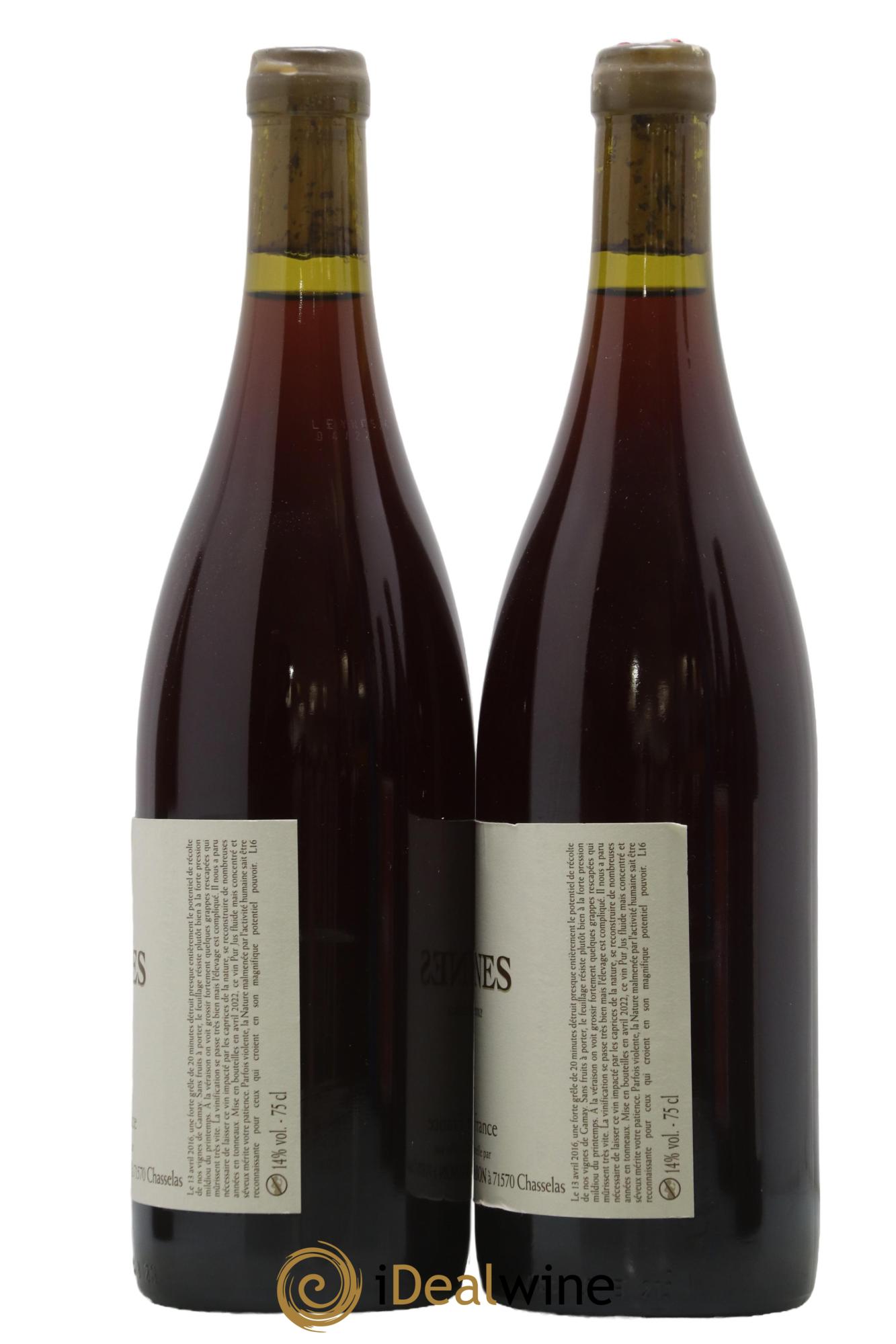 Vin de France Leynes Persévérance Philippe Jambon 2016 - Lotto di 2 bottiglie - 1