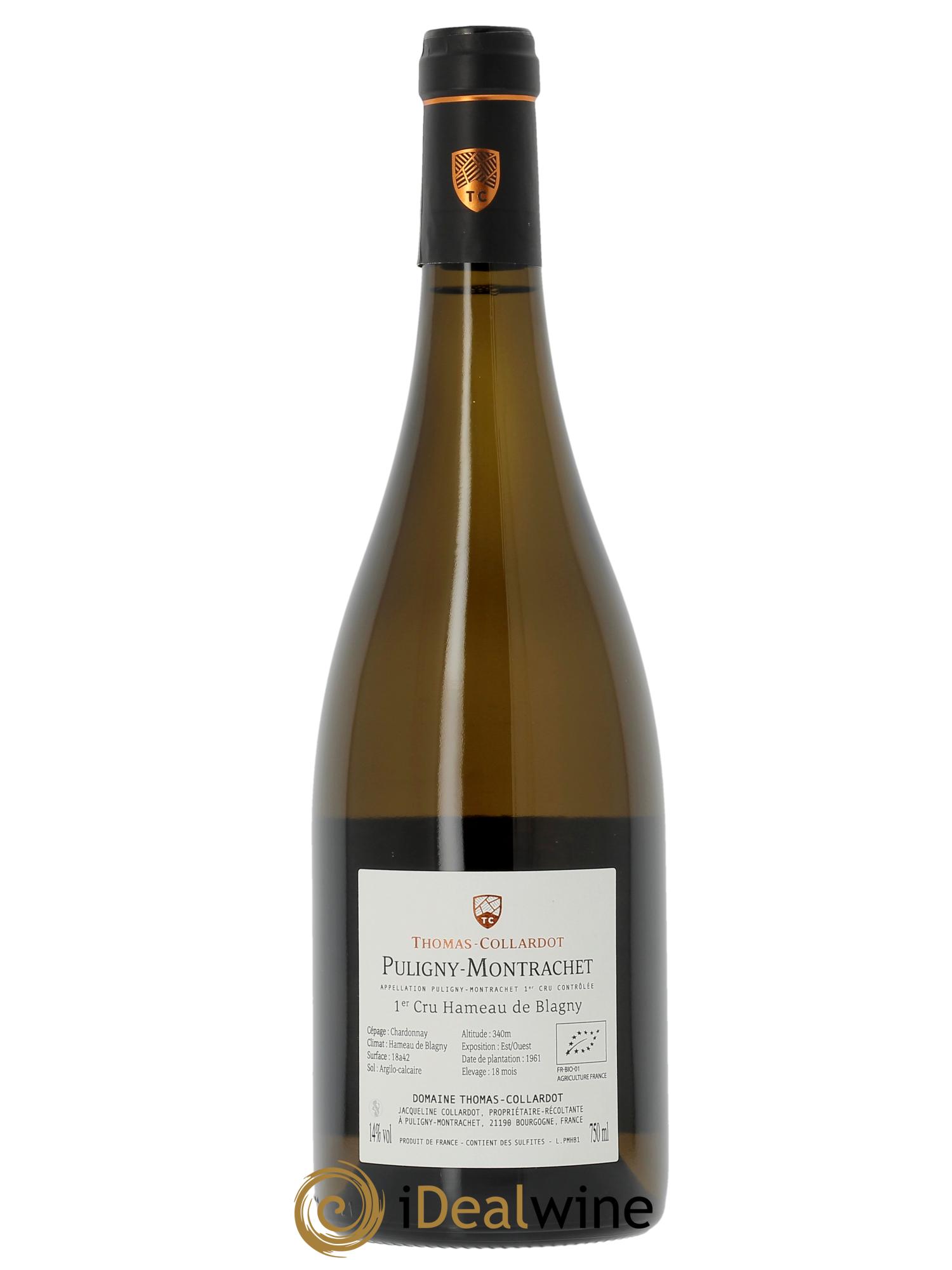 Puligny-Montrachet 1er Cru Hameau de Blagny Thomas-Collardot (Domaine)  2023 - Posten von 1 Flasche - 1