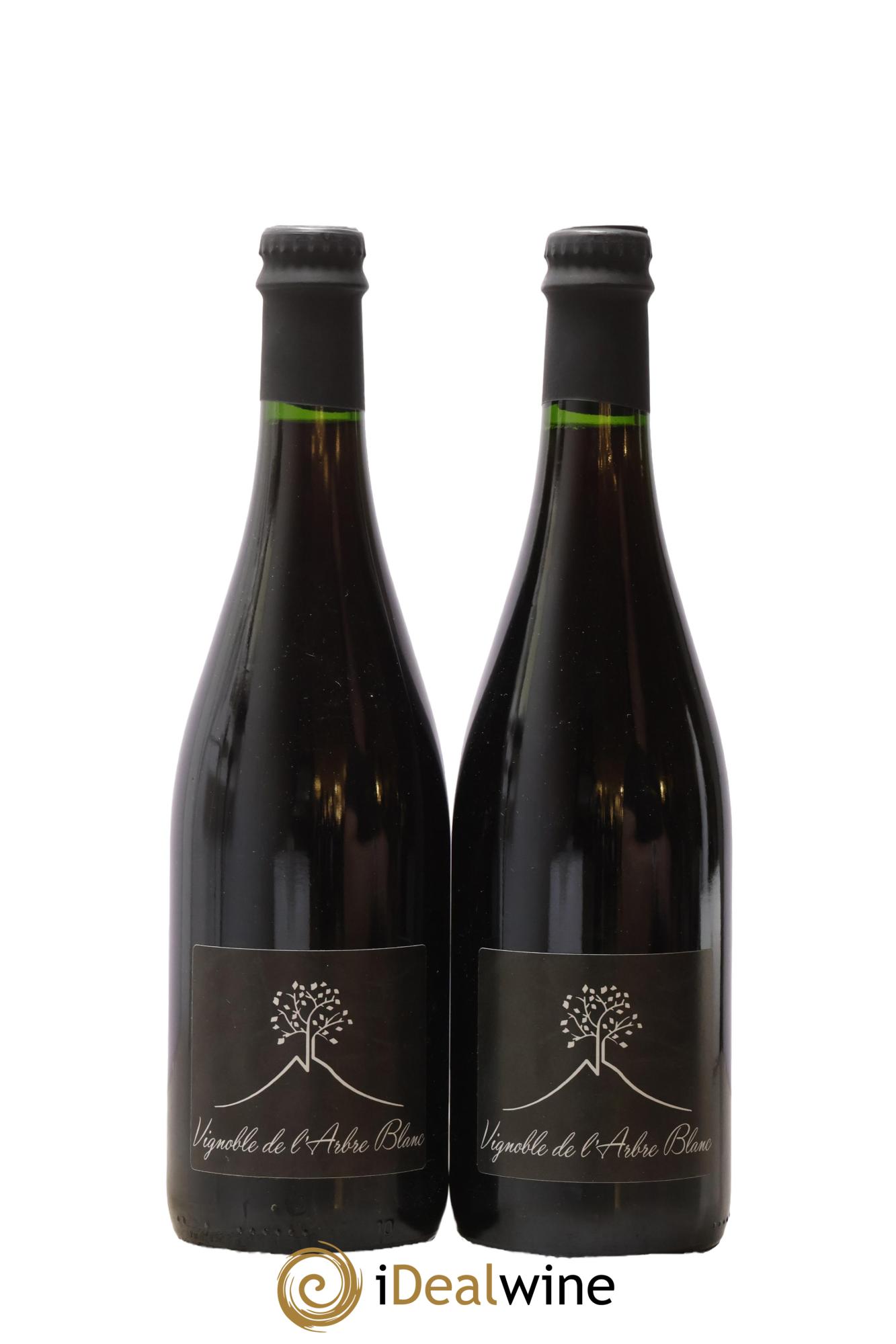 Vin de France Les Grandes Orgues Vignoble de l'Arbre Blanc 2022 - Posten von 2 Flaschen - 0