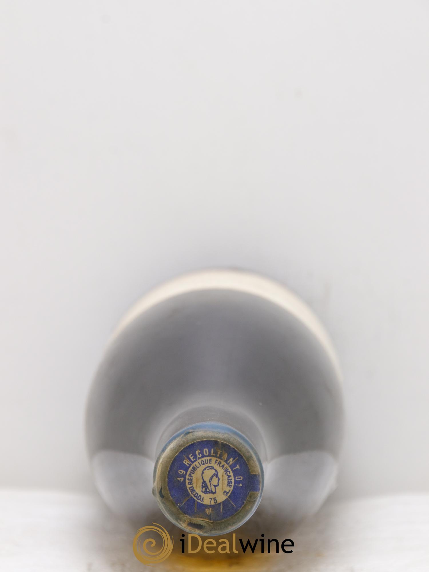 Vin de France Les Nourrissons Stéphane Bernaudeau 2009 - Lot of 1 bottle - 1