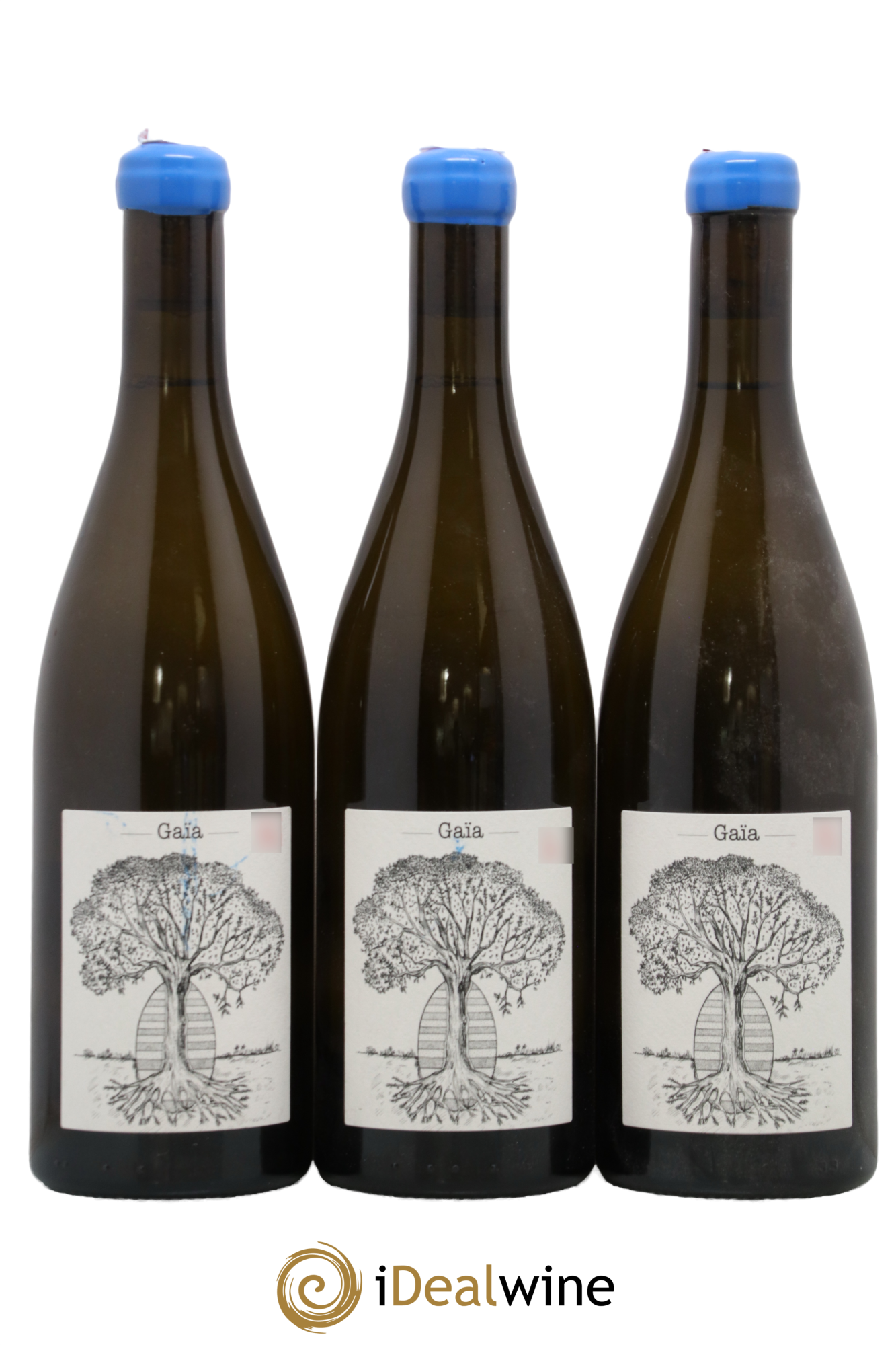Muscadet-Sèvre-et-Maine Gaia Jérôme Bretaudeau - Domaine de Bellevue 2020 - Lot of 3 bottles - 0