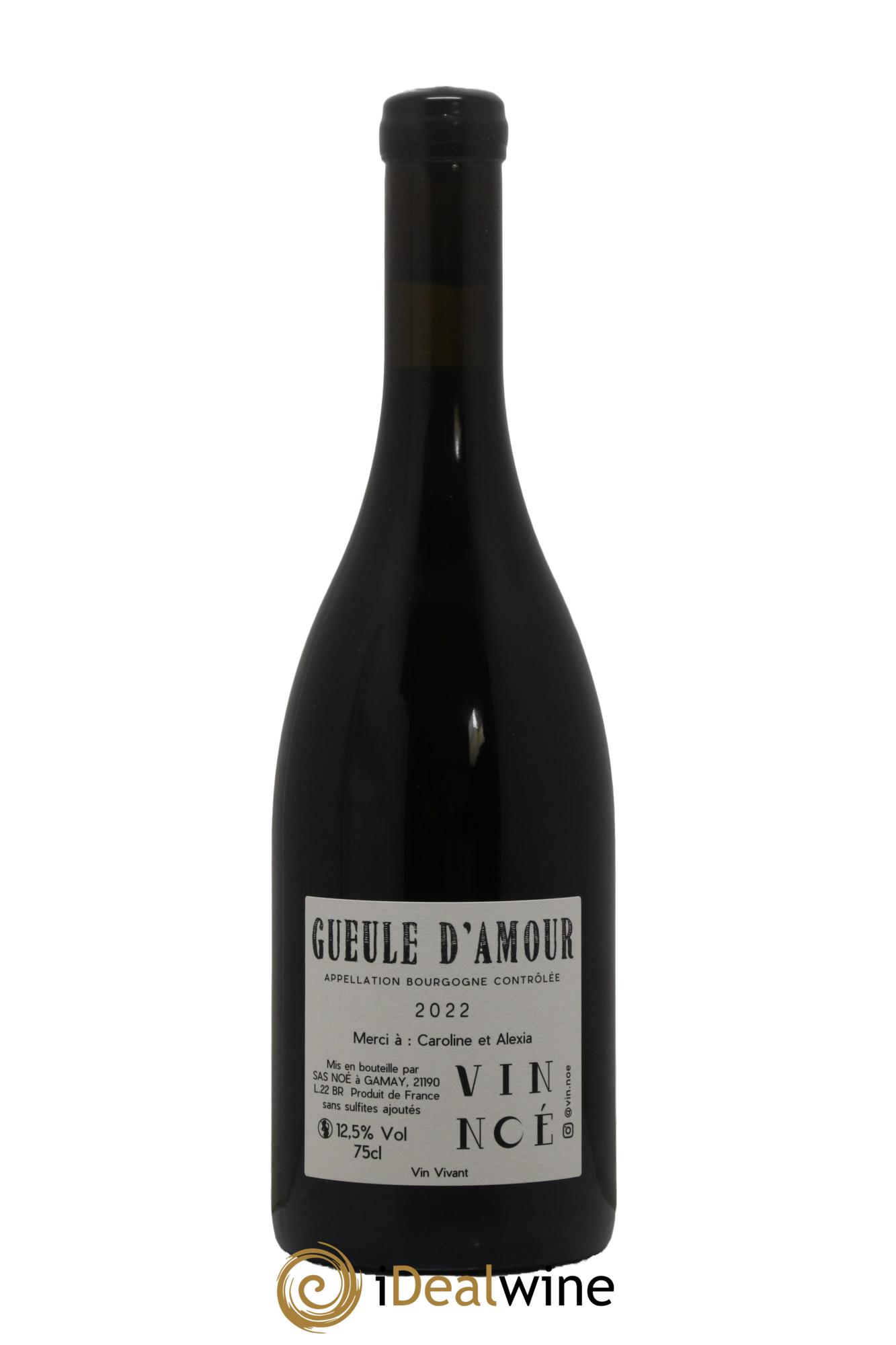 Bourgogne Gueule d'Amour Vin Noé 2022 - Lotto di 1 bottiglia - 1