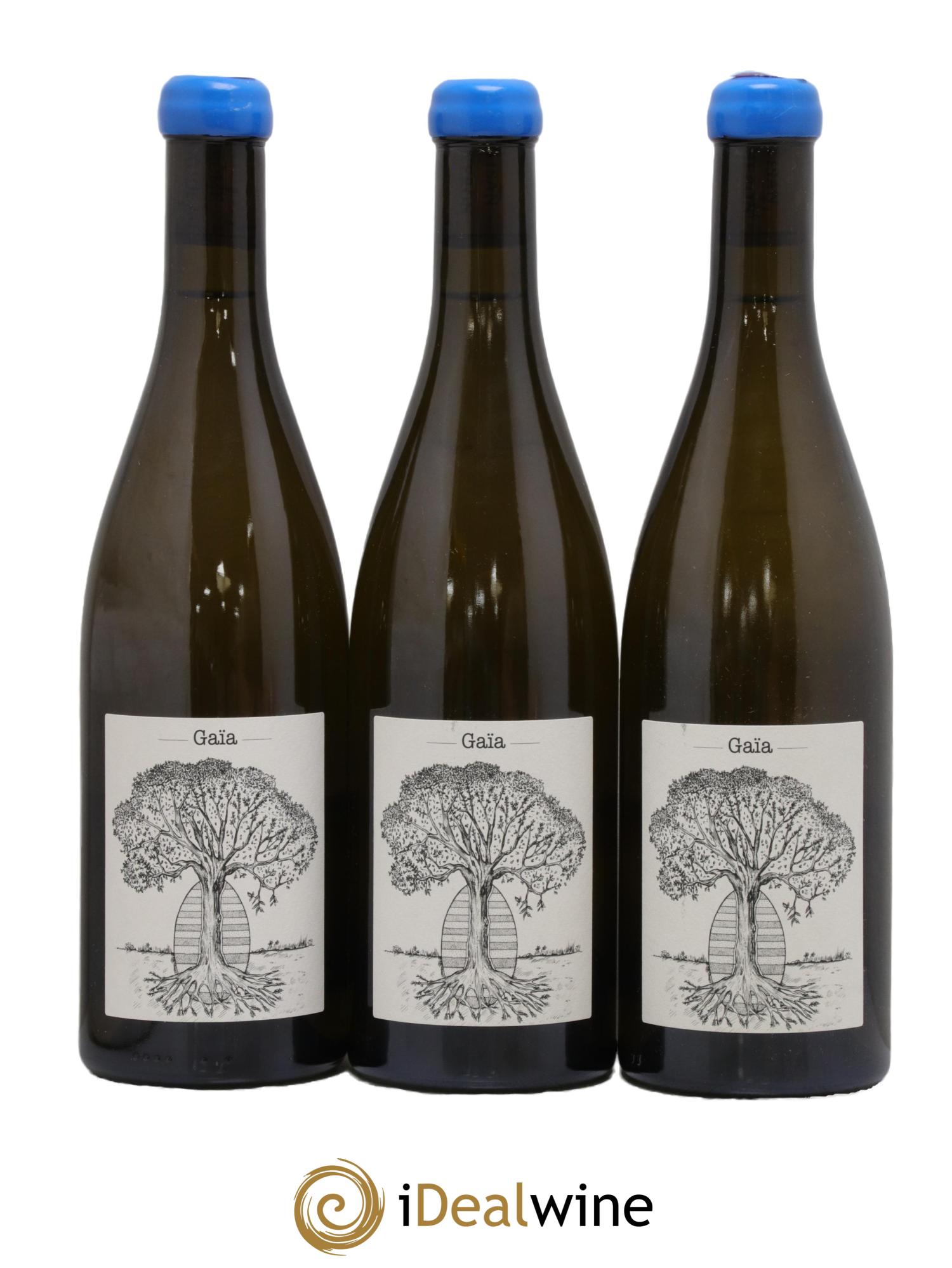 Vin de France Gaïa Jérôme Bretaudeau - Domaine de Bellevue 2019 - Lot de 3 bouteilles - 0