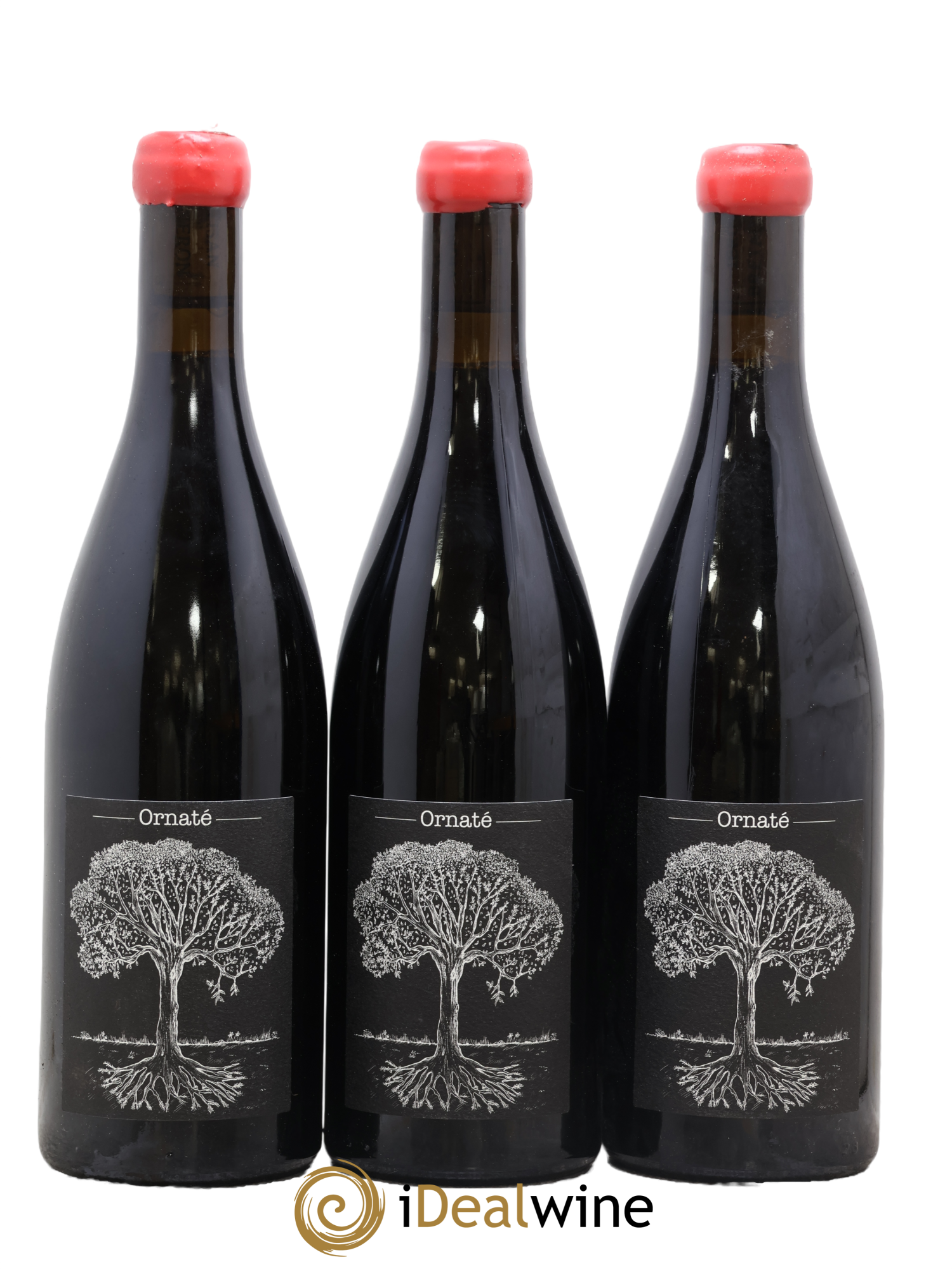 Vin de France Merlot Ornaté Jérôme Bretaudeau - Domaine de Bellevue 2022 - Posten von 3 Flaschen - 0