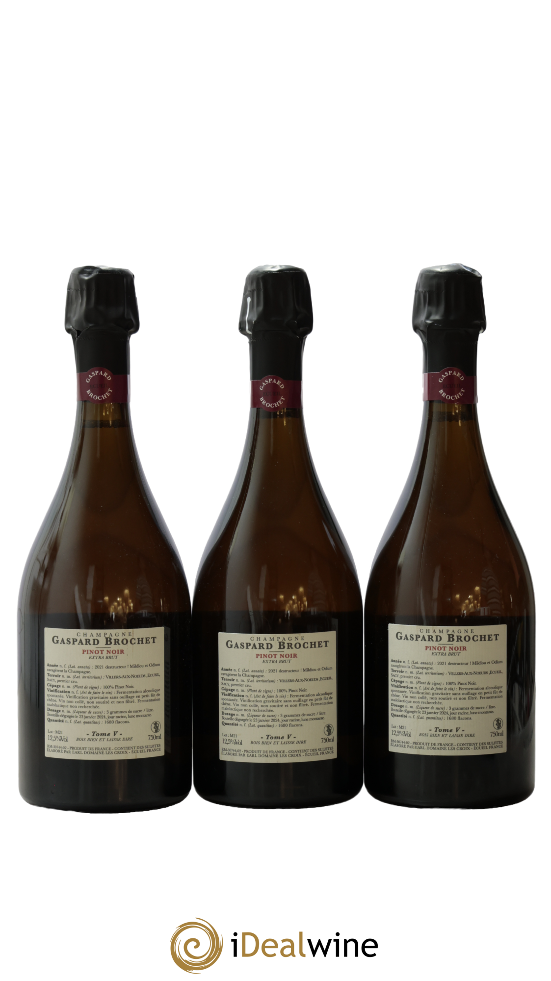Pinot Noir Extra-Brut Tome V Gaspard Brochet 2021 - Lot of 3 bottles - 1