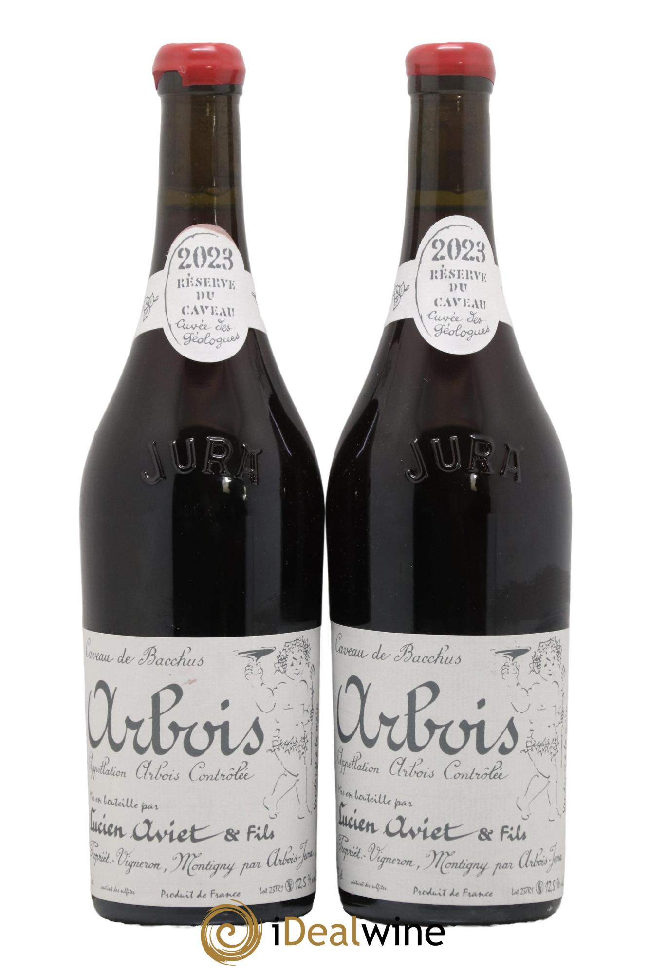 Arbois Trousseau Cuvee des Geologues Domaine Lucien Aviet et Fils 2023 - Lot de 2 bouteilles - 0