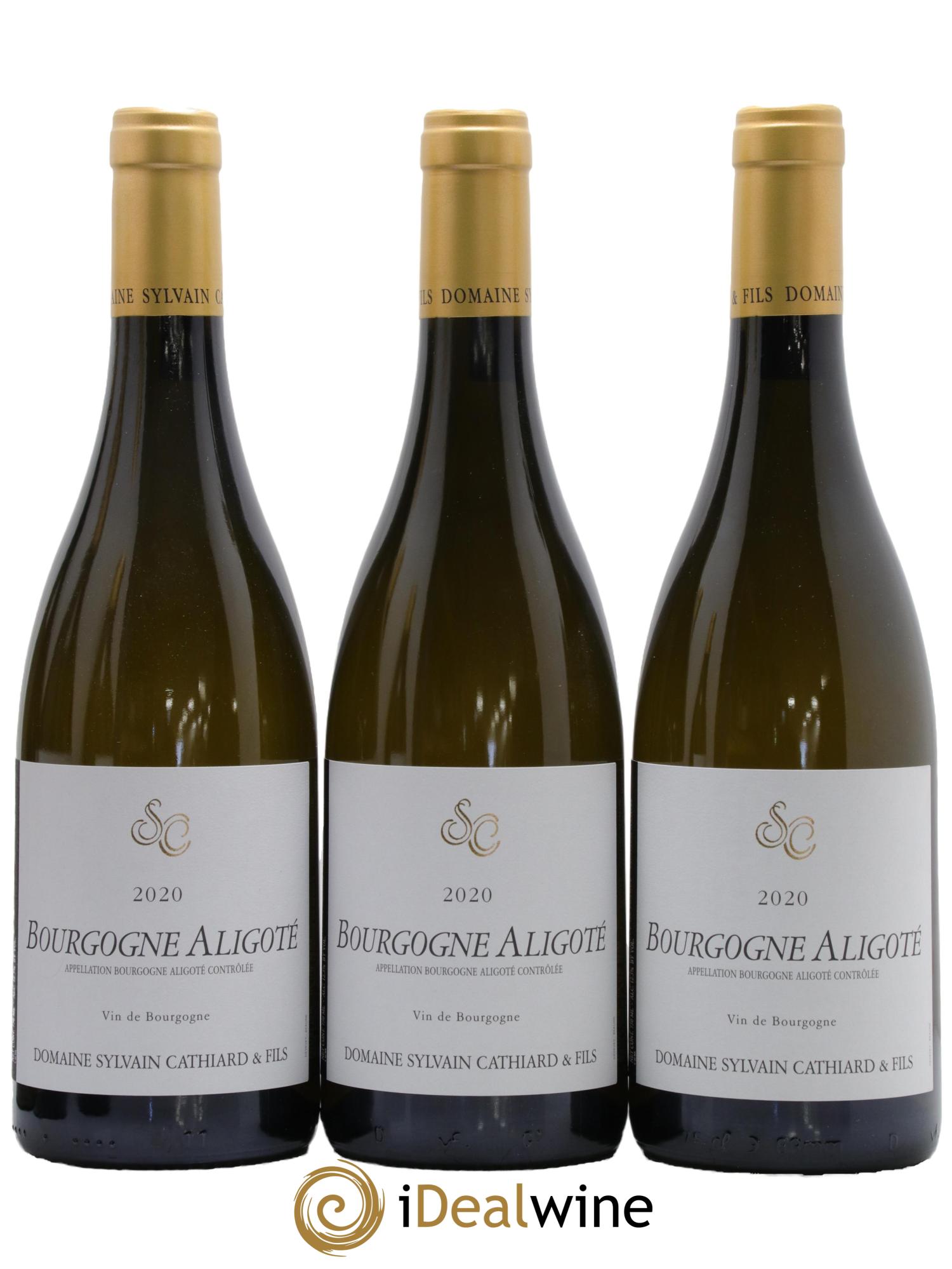 Bourgogne Aligoté Sylvain Cathiard & Fils 2020 - Lot of 3 bottles - 0