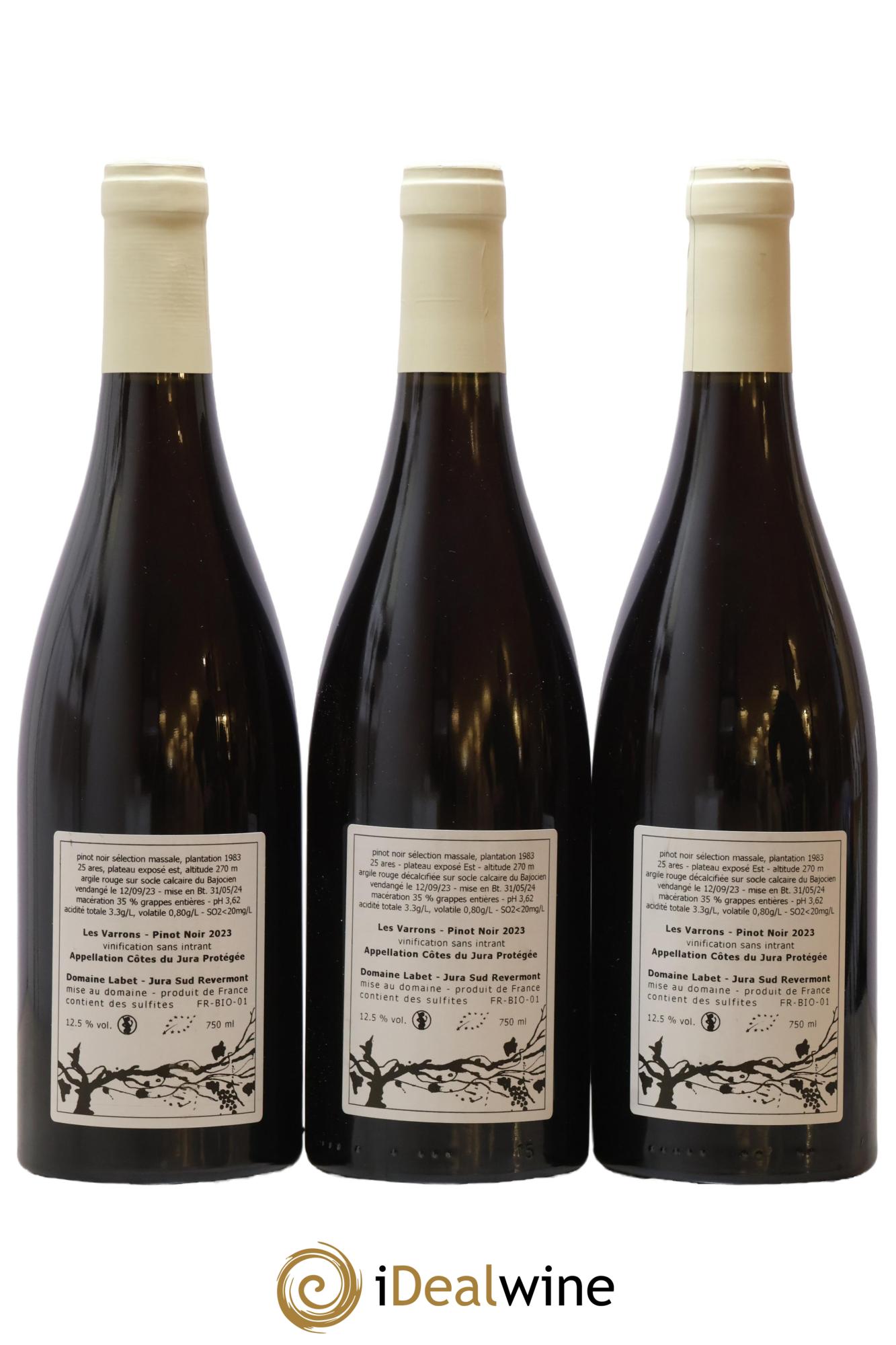 Côtes du Jura Pinot Noir Les Varrons Sélection Massale Romain - Julien - Charline Labet 2023 - Lot de 3 bouteilles - 1