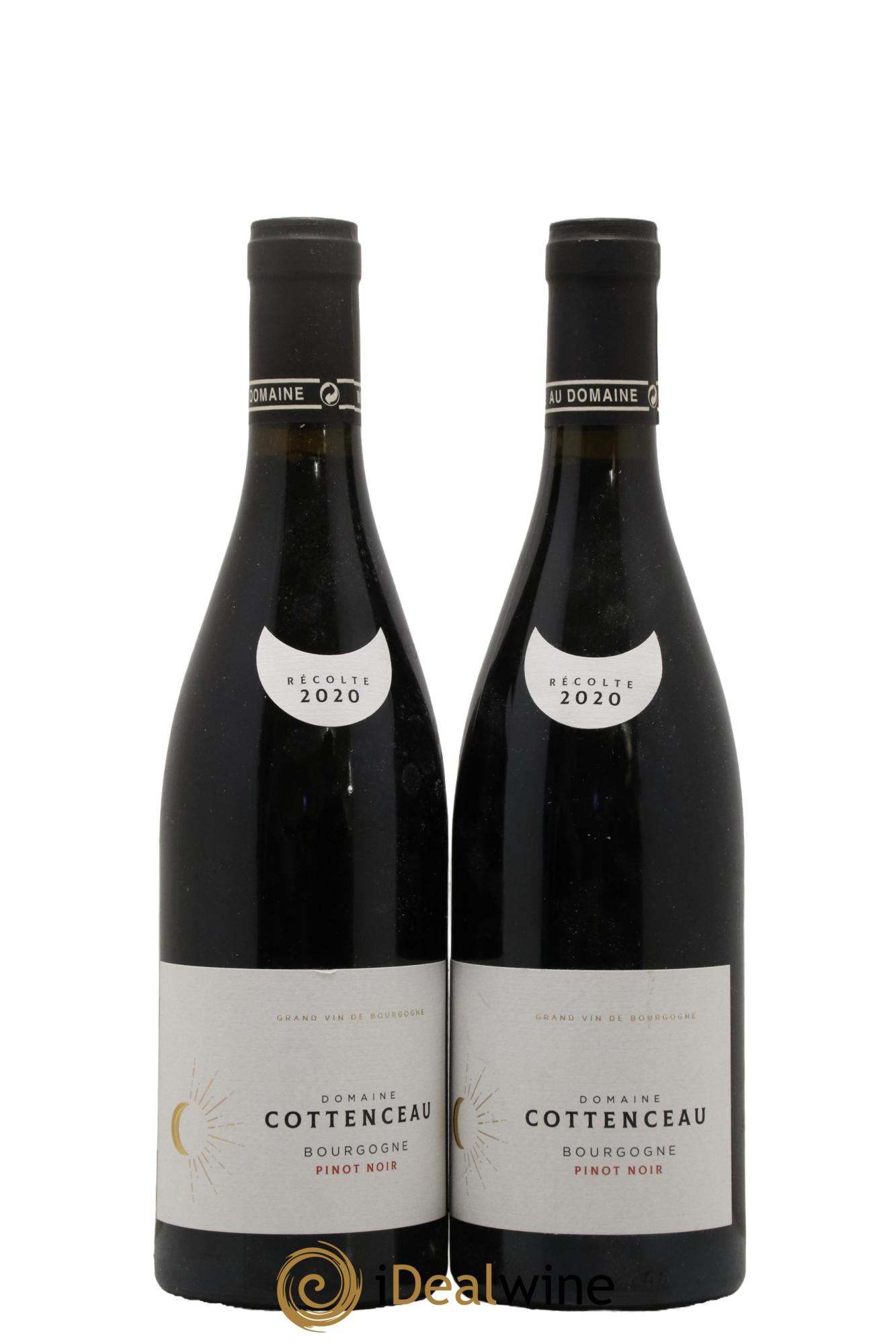 Bourgogne Pinot Noir Maxime Cottenceau 2020 - Lot de 2 bouteilles - 0