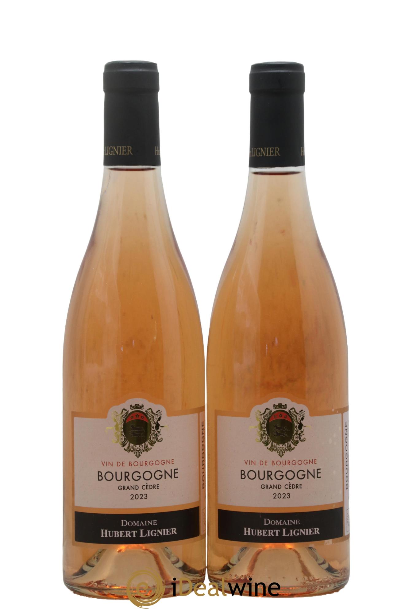 Bourgogne Cuvée du Grand Cèdre Hubert Lignier (Domaine) 2023 - Posten von 2 Flaschen - 0
