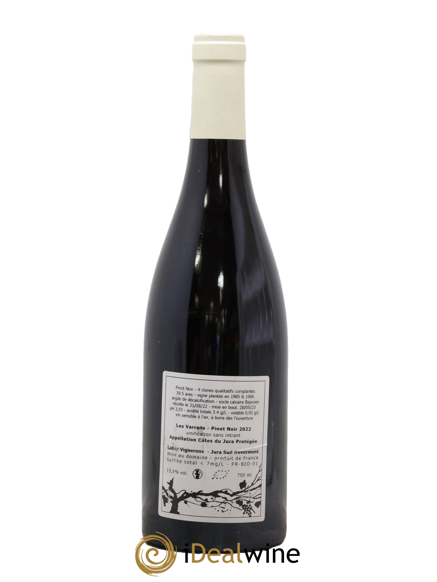 Côtes du Jura Pinot Noir Les Varrons Sélection Clonale Romain - Julien - Charline Labet 2022 - Lotto di 1 bottiglia - 1