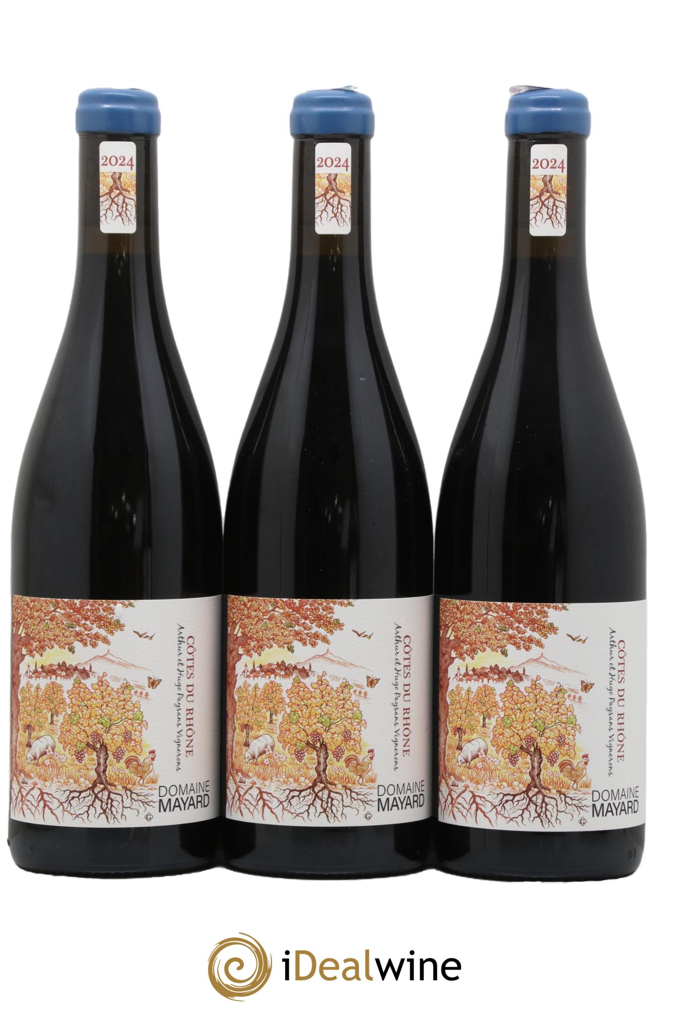 Côtes-du-Rhône Mayard (Domaine) 2024 - Lot de 3 bouteilles - 0
