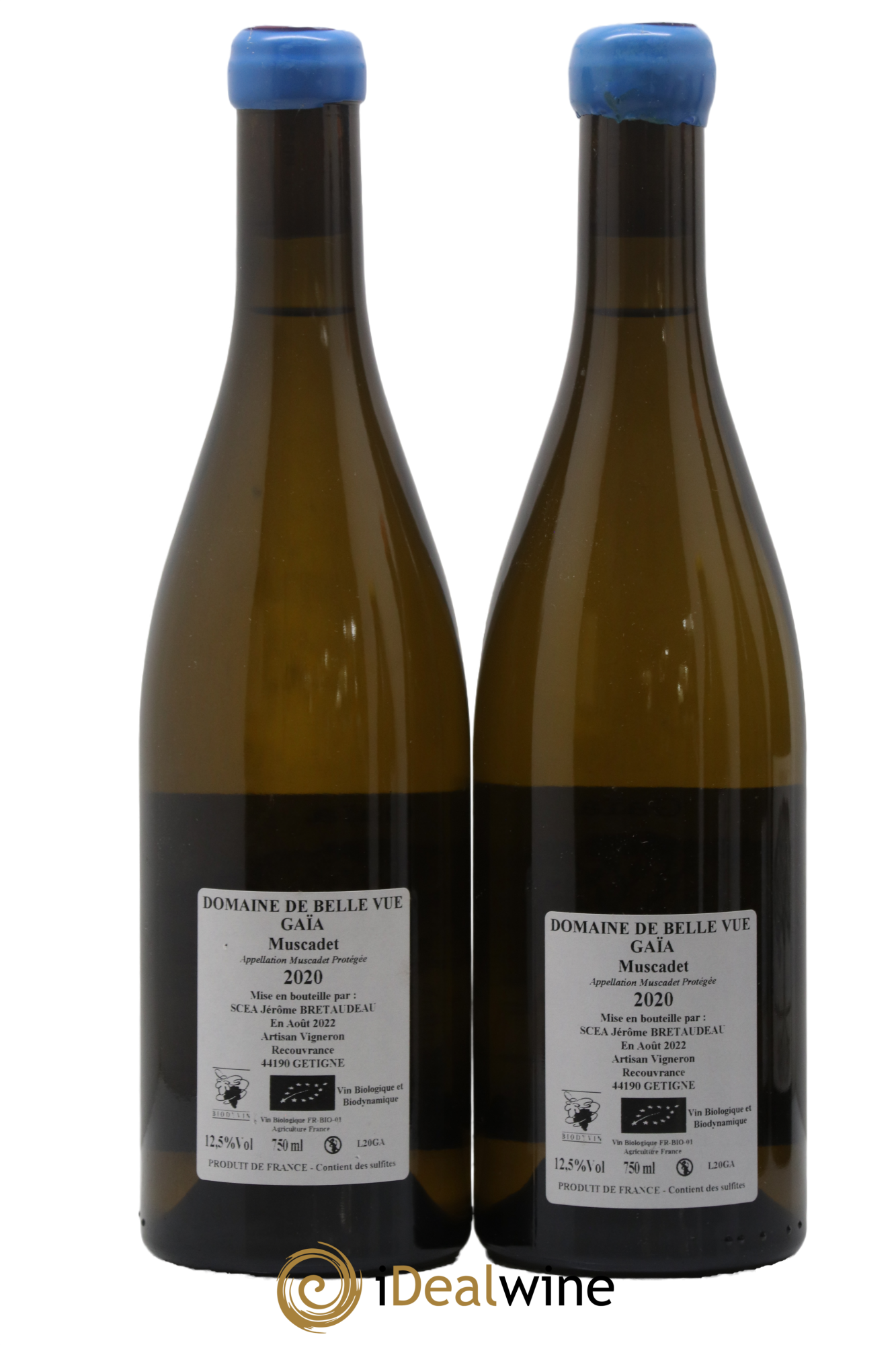Muscadet-Sèvre-et-Maine Gaia Jérôme Bretaudeau - Domaine de Bellevue 2020 - Posten von 2 Flaschen - 1
