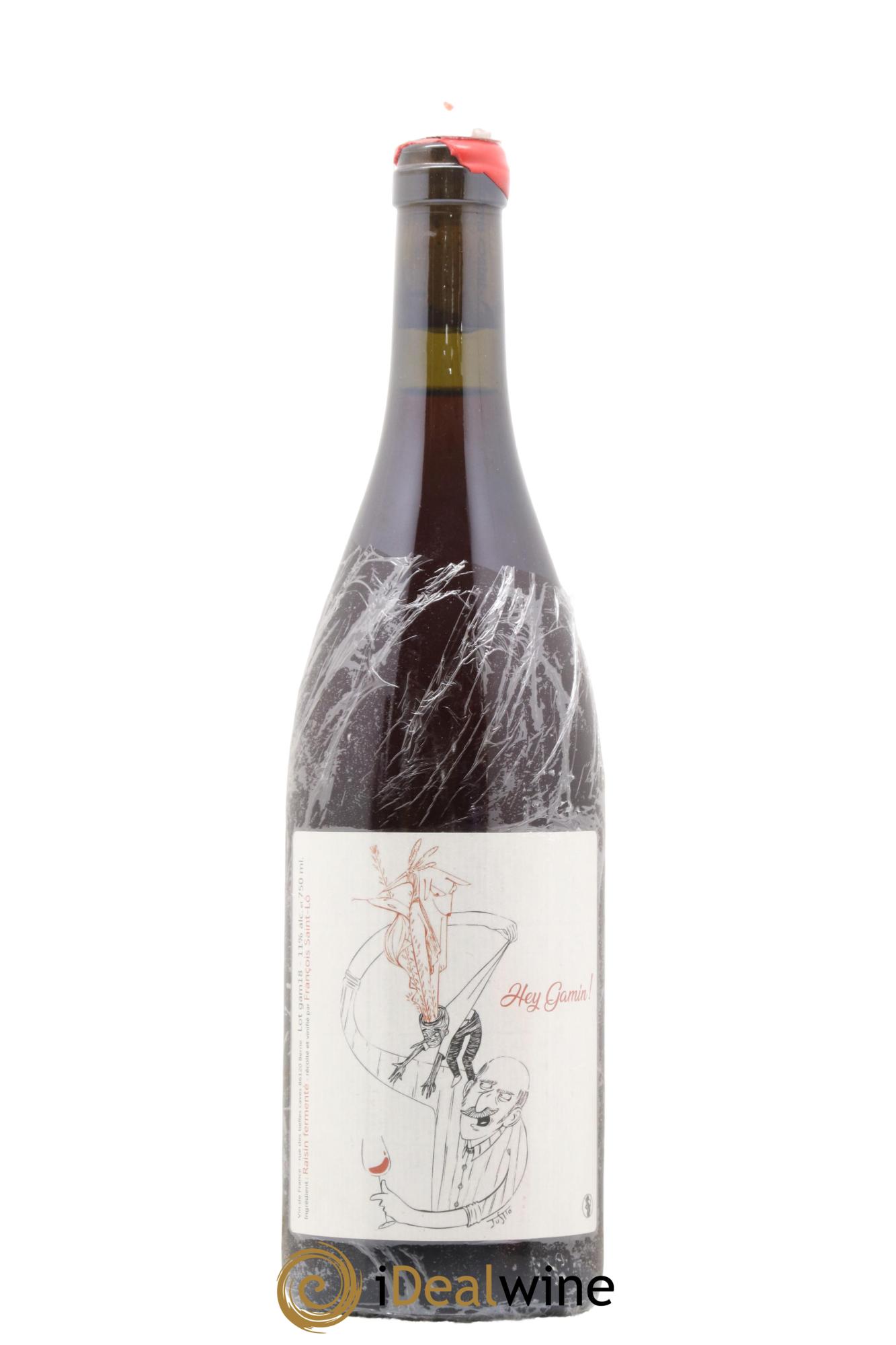 Vin de France Hey Gamin François Saint Lo 2018 - Lot de 1 bouteille - 0