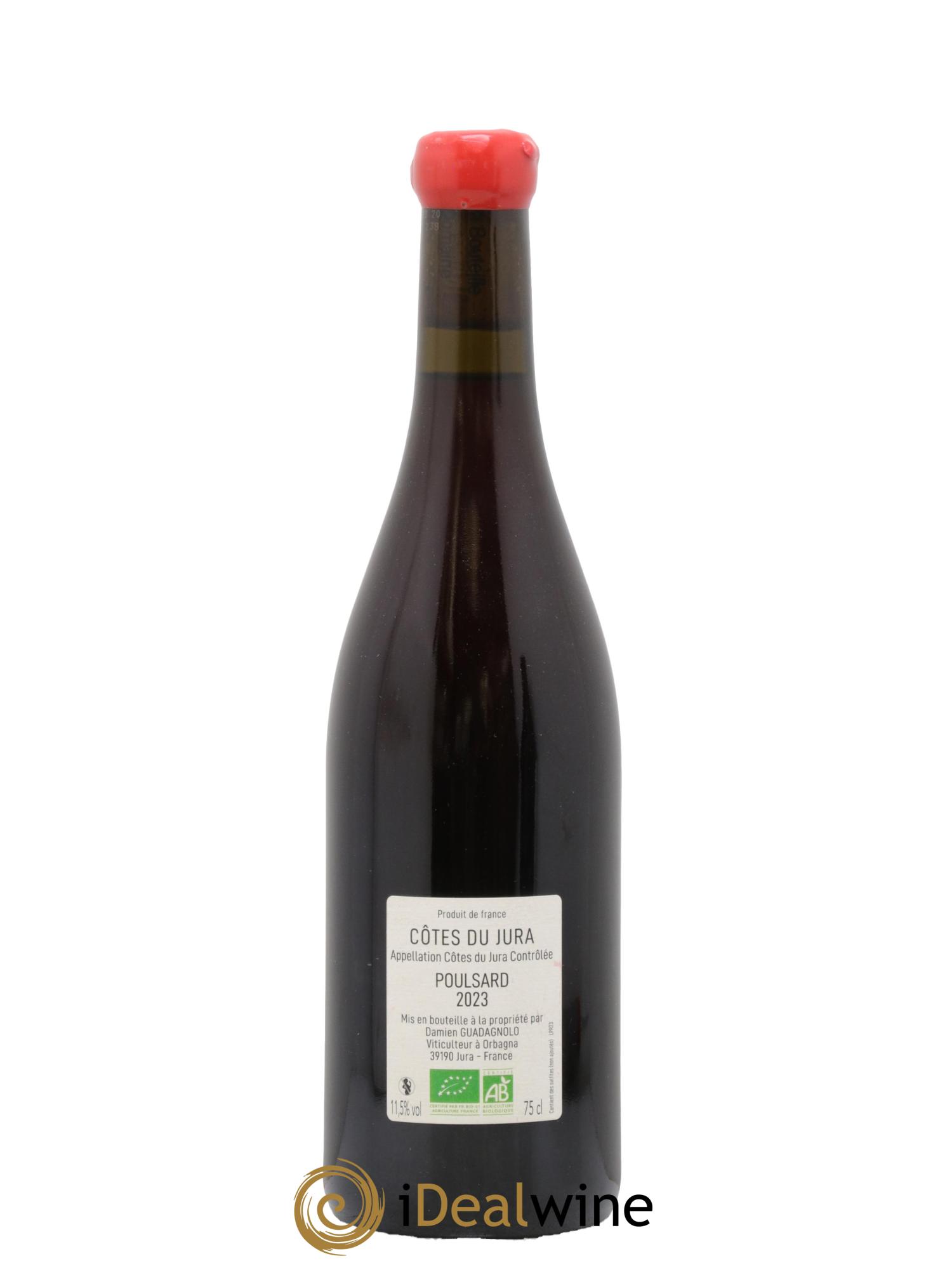 Côtes du Jura Poulsard Damien Guadagnolo 2023 - Lot of 1 bottle - 1