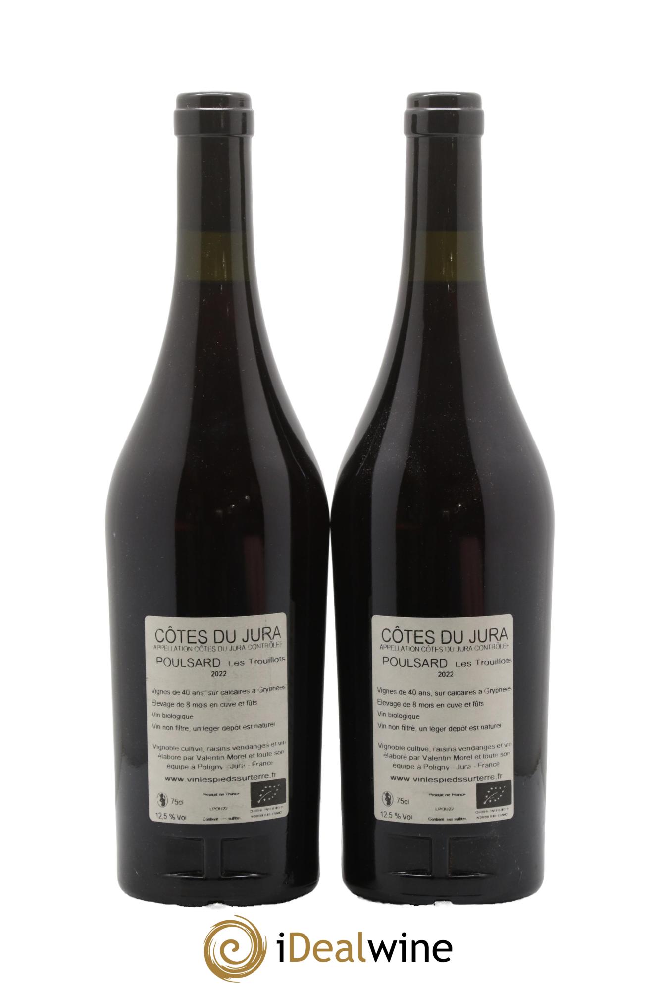 Côtes du Jura Poulsard - Les Trouillots Valentin Morel 2022 - Lot of 2 bottles - 1