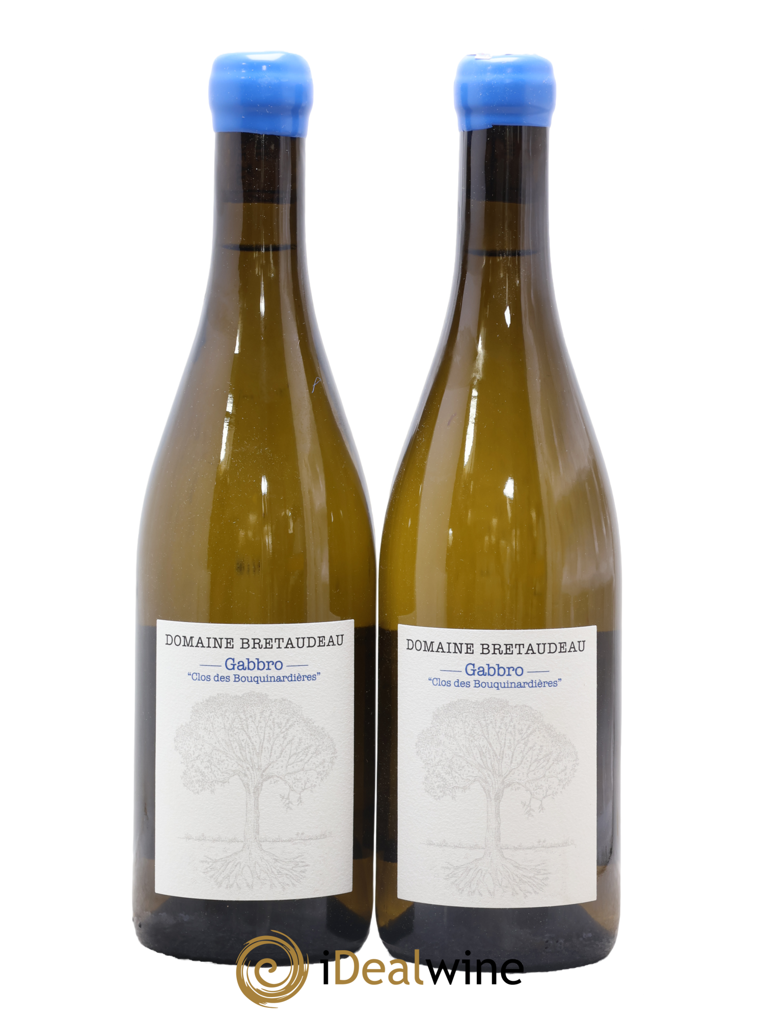 Muscadet-Sèvre-et-Maine Gabbro Clos des Bouquinardières Jérôme Bretaudeau - Domaine de Bellevue 2024 - Lot of 2 bottles - 0