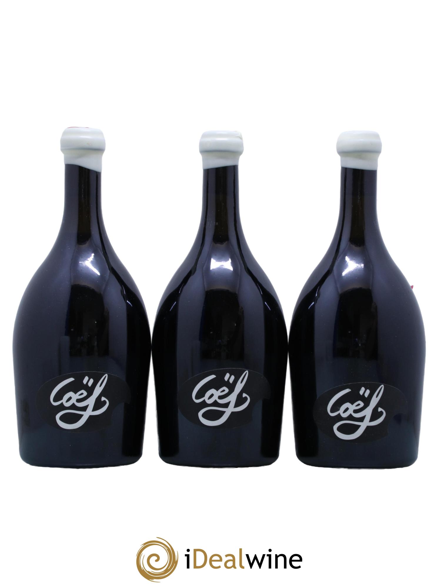 Saint-Nicolas de Bourgueil Coef Sebastien David 2016 - Lot de 3 bouteilles - 0