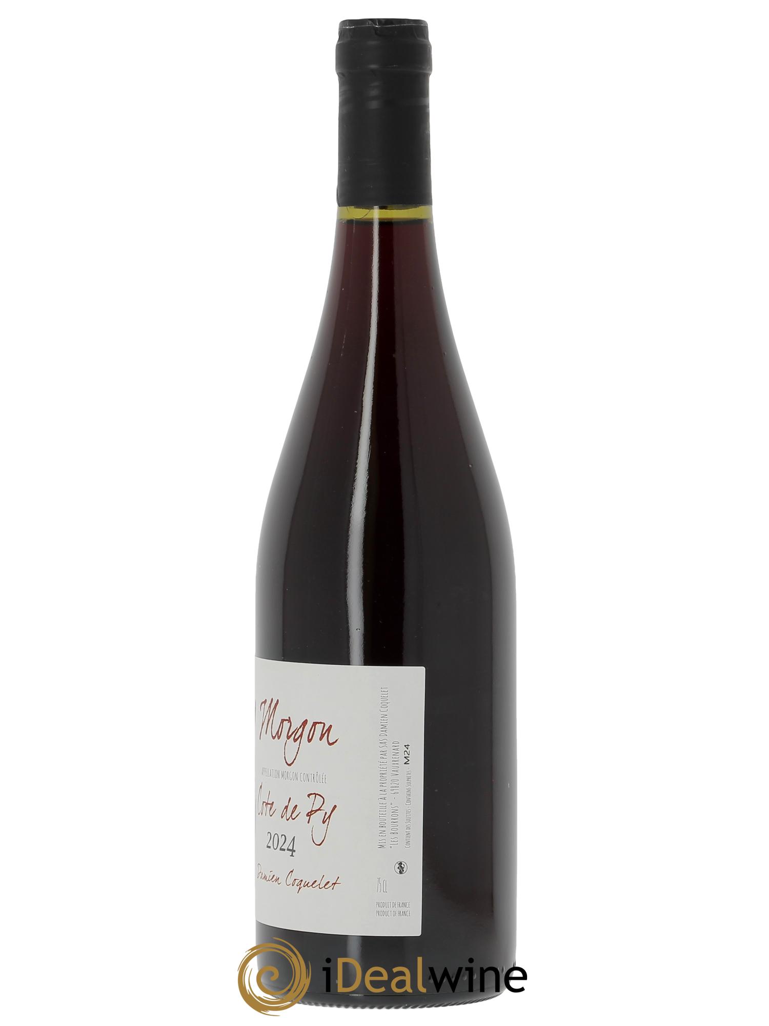 Morgon Côte du Py Damien Coquelet  2024 - Lot of 1 bottle - 1