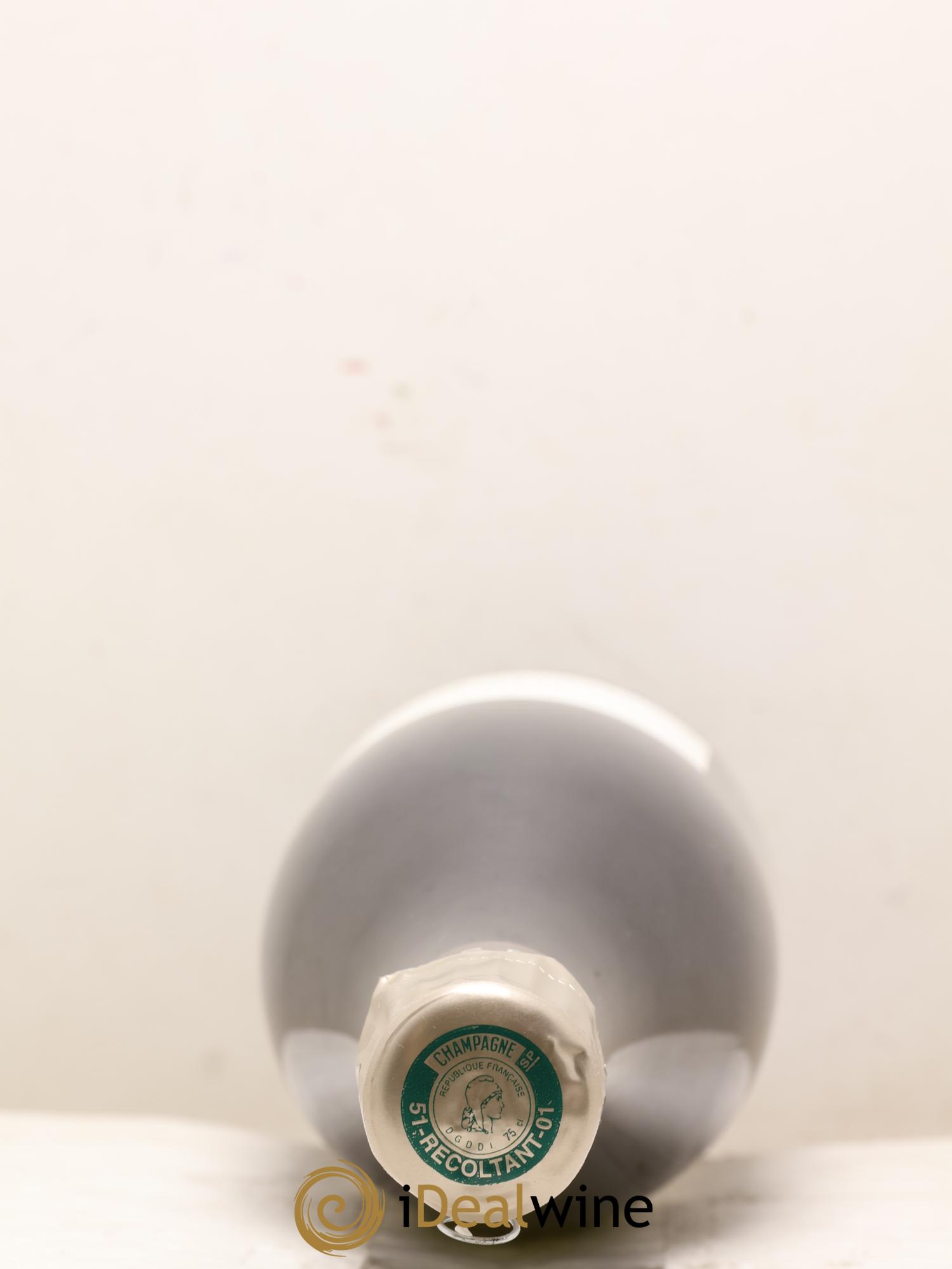 Initial Brut Jacques Selosse - Posten von 2 Flaschen - 2