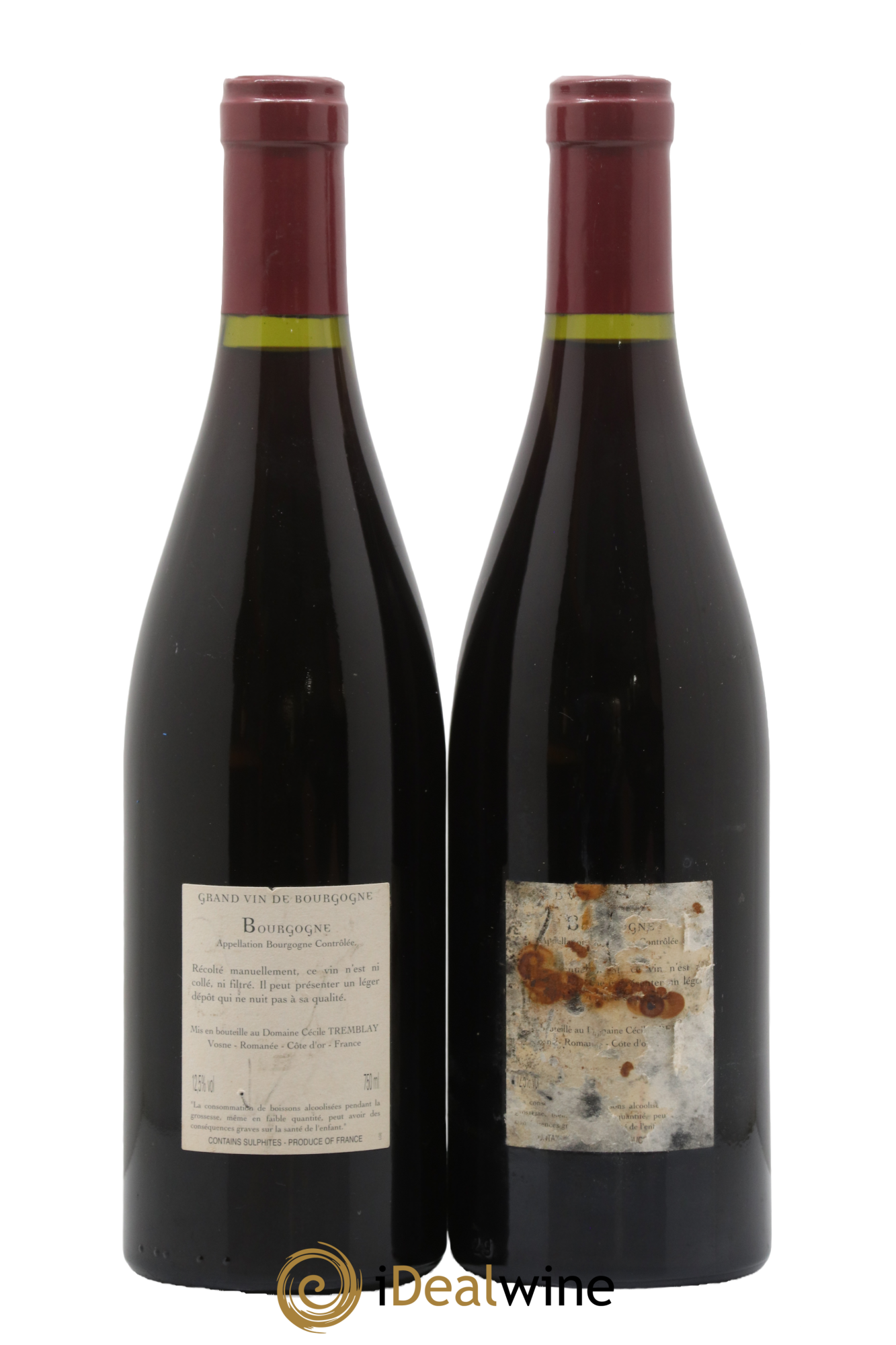 Bourgogne La Croix Blanche Cécile Tremblay 2008 - Lot of 2 bottles - 1