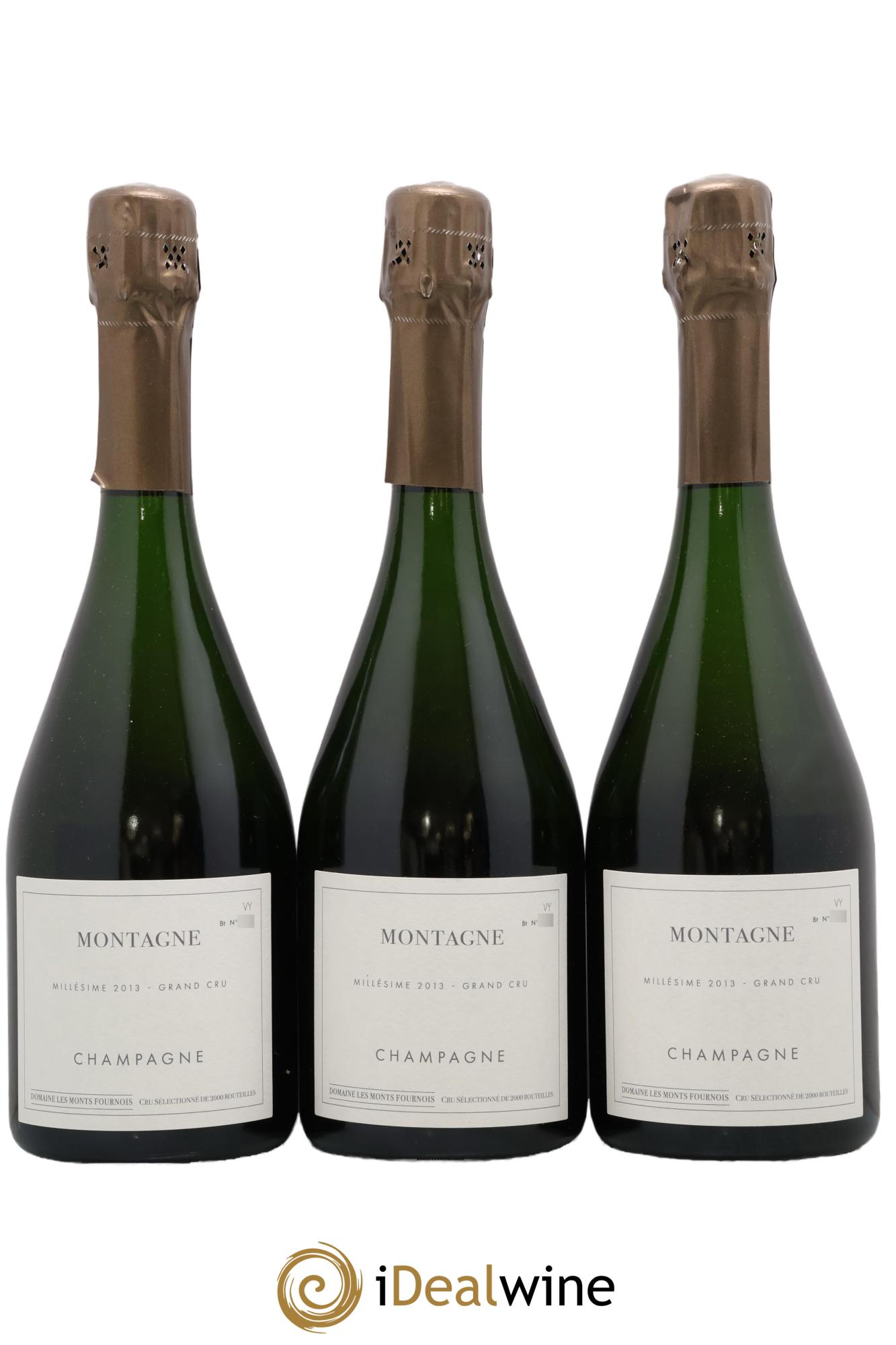 Montagne Verzy Grand Cru Les Monts Fournois (Domaine) 2013 - Lot of 3 bottles - 0