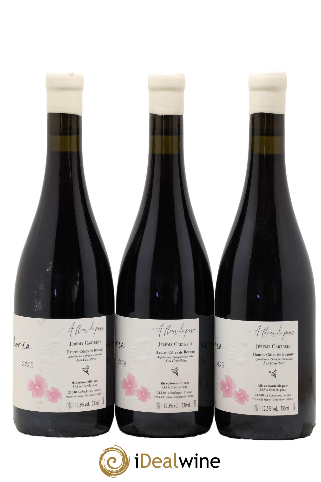 Hautes-Côtes de Beaune Euphoria Jérémy Carteret 2023 - Lot of 3 bottles - 1