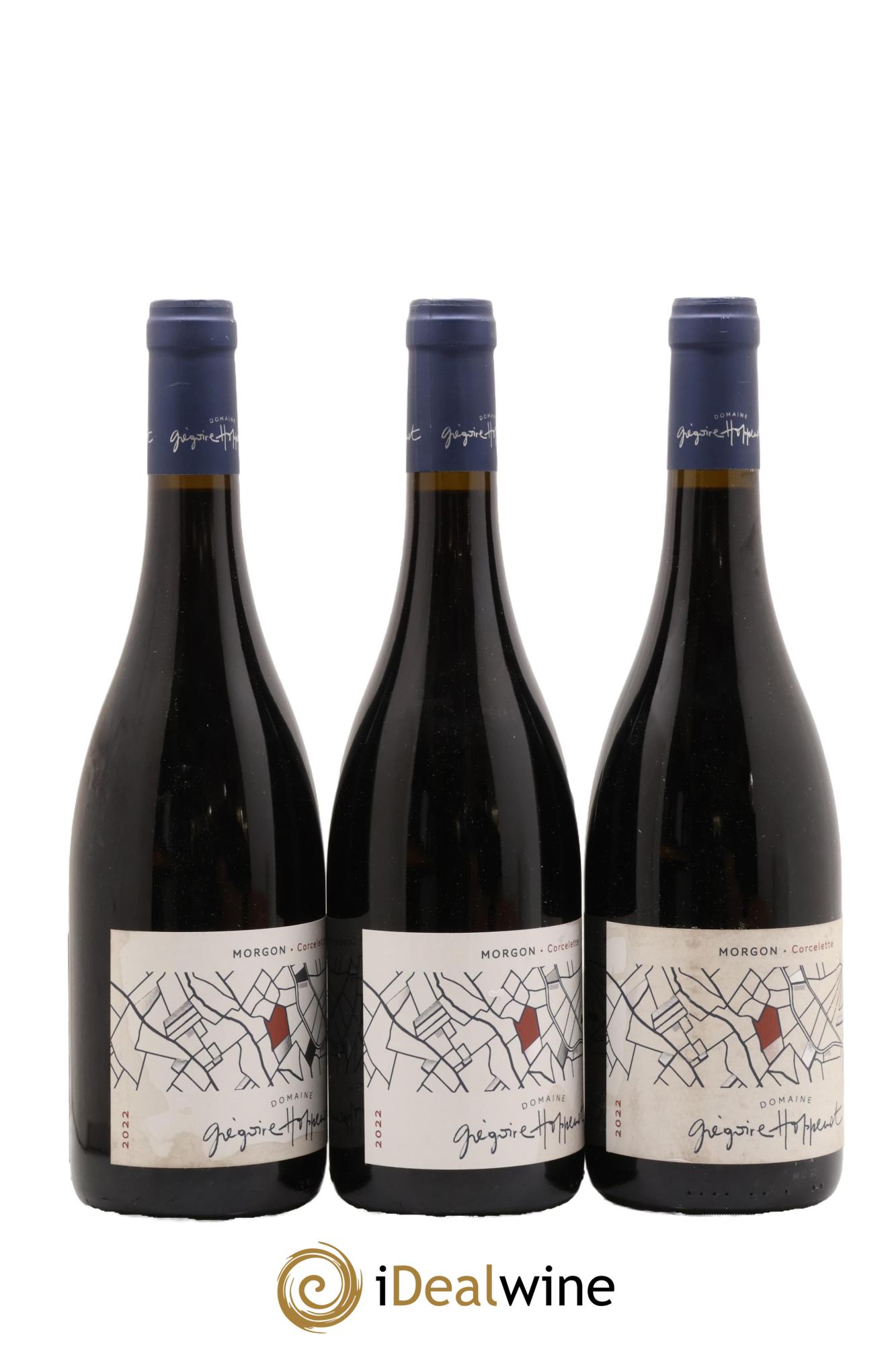 Morgon Corcelette Grégoire Hoppenot (Domaine) 2022 - Lot de 3 bouteilles - 1