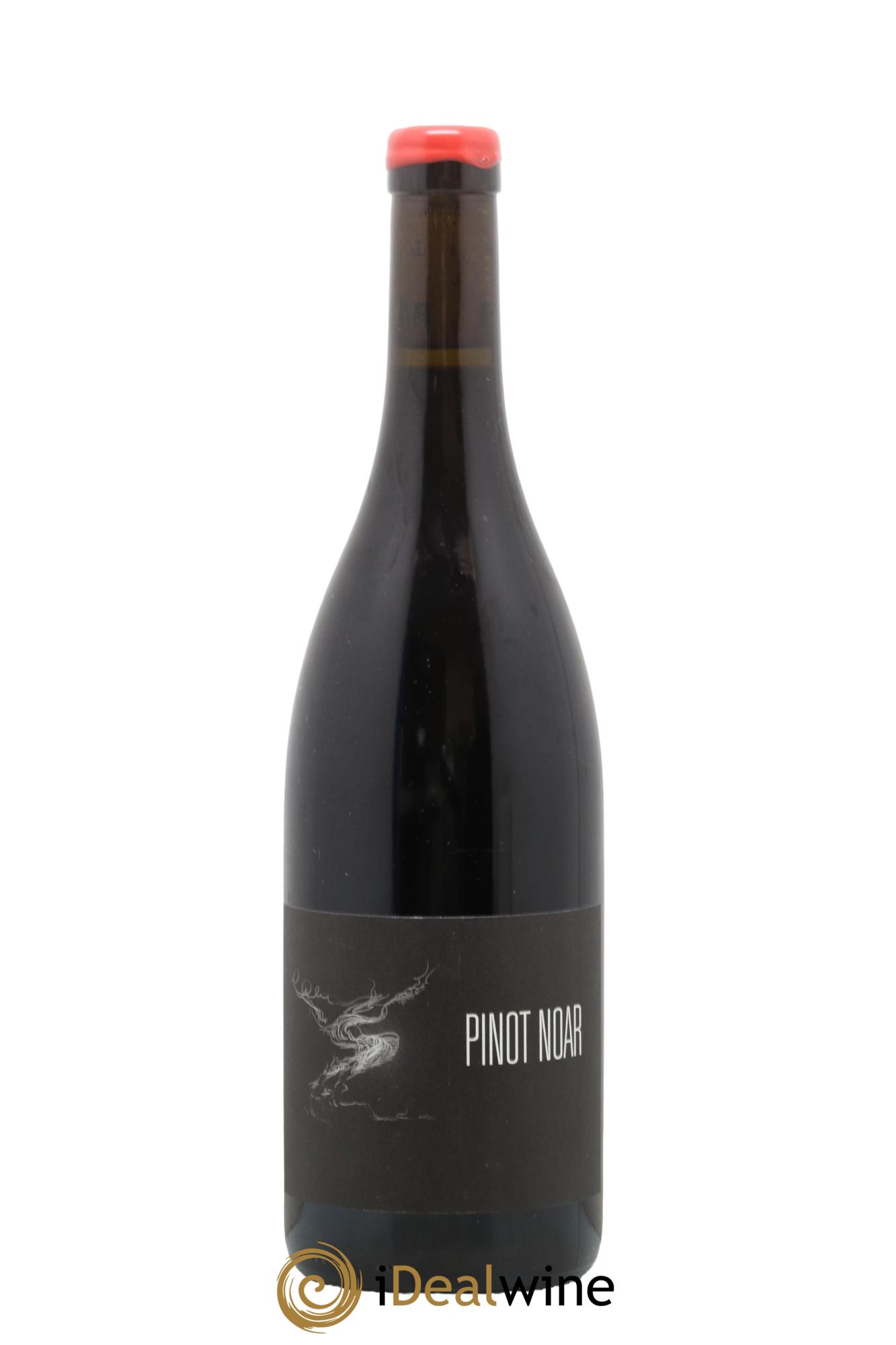 Hautes-Côtes de Nuits Pinot Noar Arnaud Lopez 2019 - Lotto di 1 bottiglia - 0
