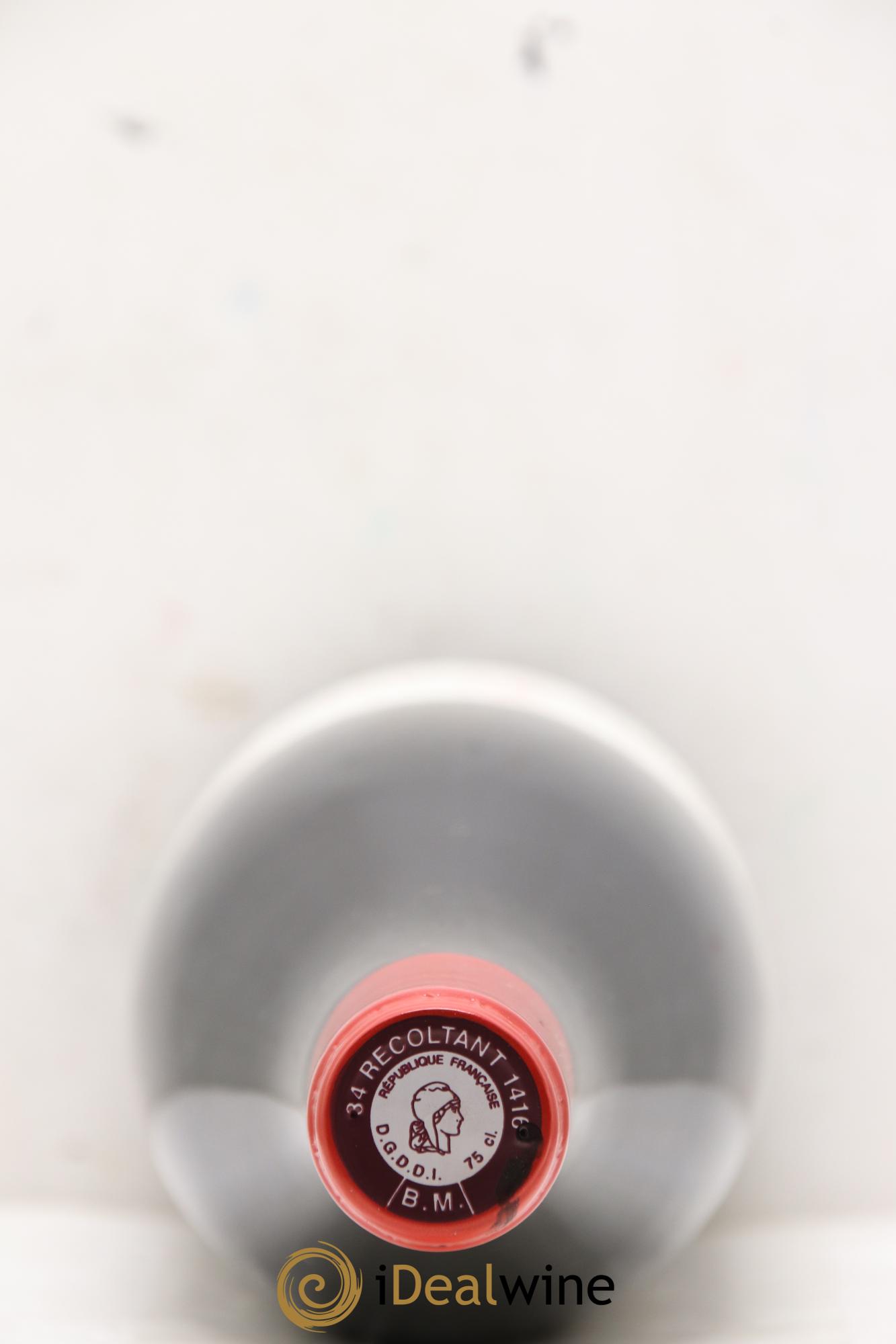 IGP Pays d'Hérault Maxime Renaudin  2019 - Lotto di 1 bottiglia - 1