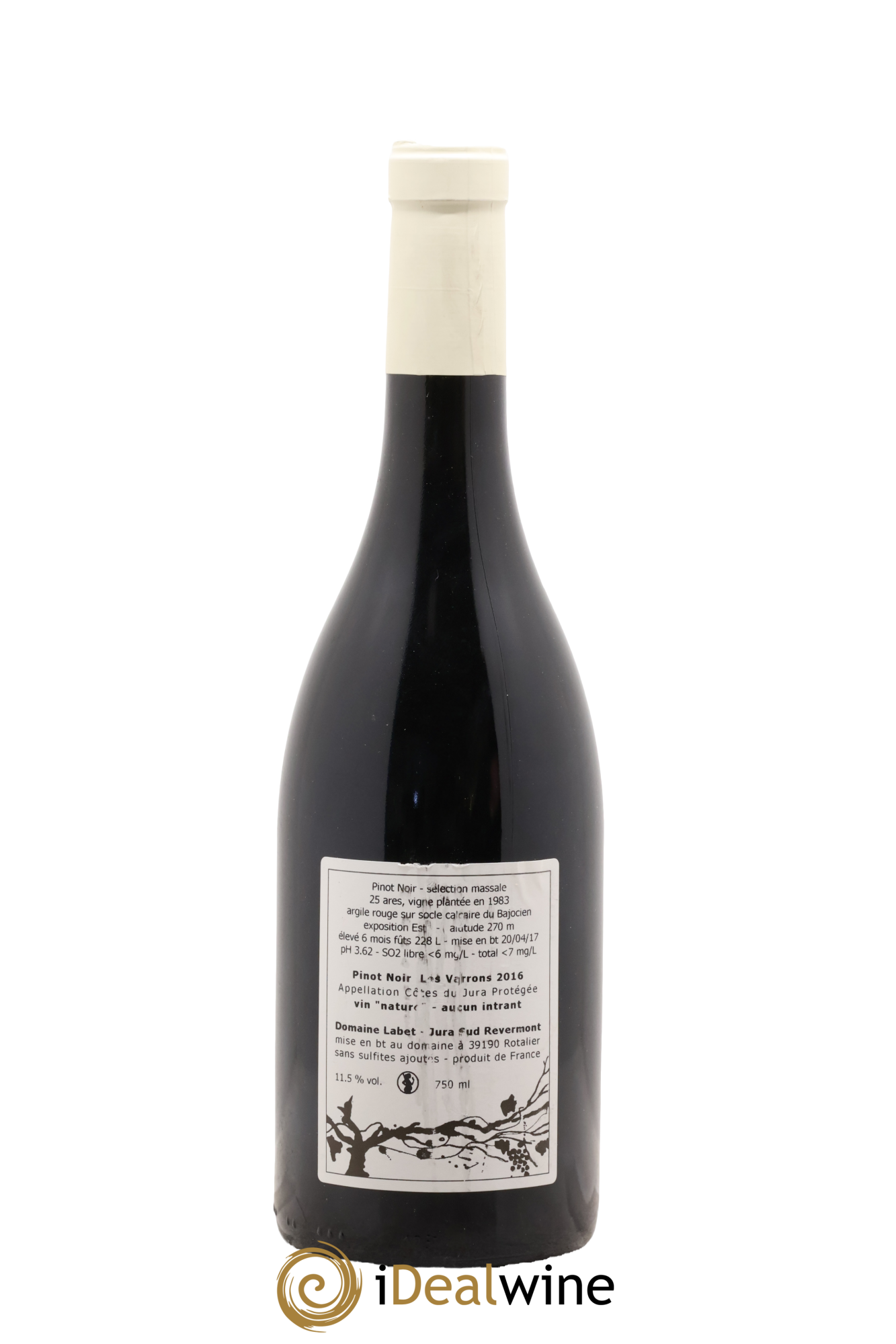 Côtes du Jura Pinot Noir Les Varrons Sélection Massale Romain - Julien  - Charline Labet 2016 - Lot de 1 bouteille - 1