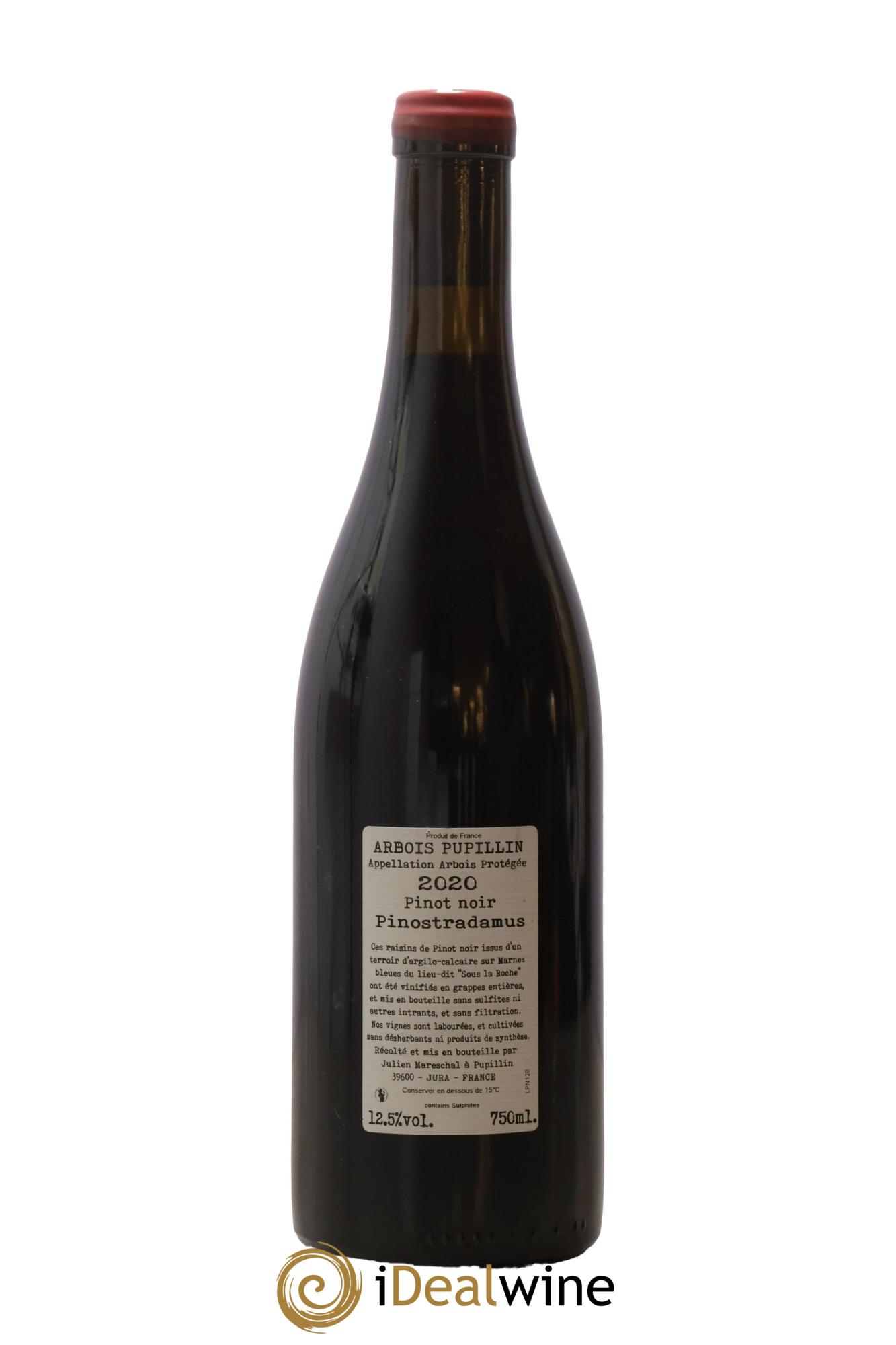 Arbois-Pupillin Pinostradamus Domaine de la Borde 2020 - Lot de 1 bouteille - 1