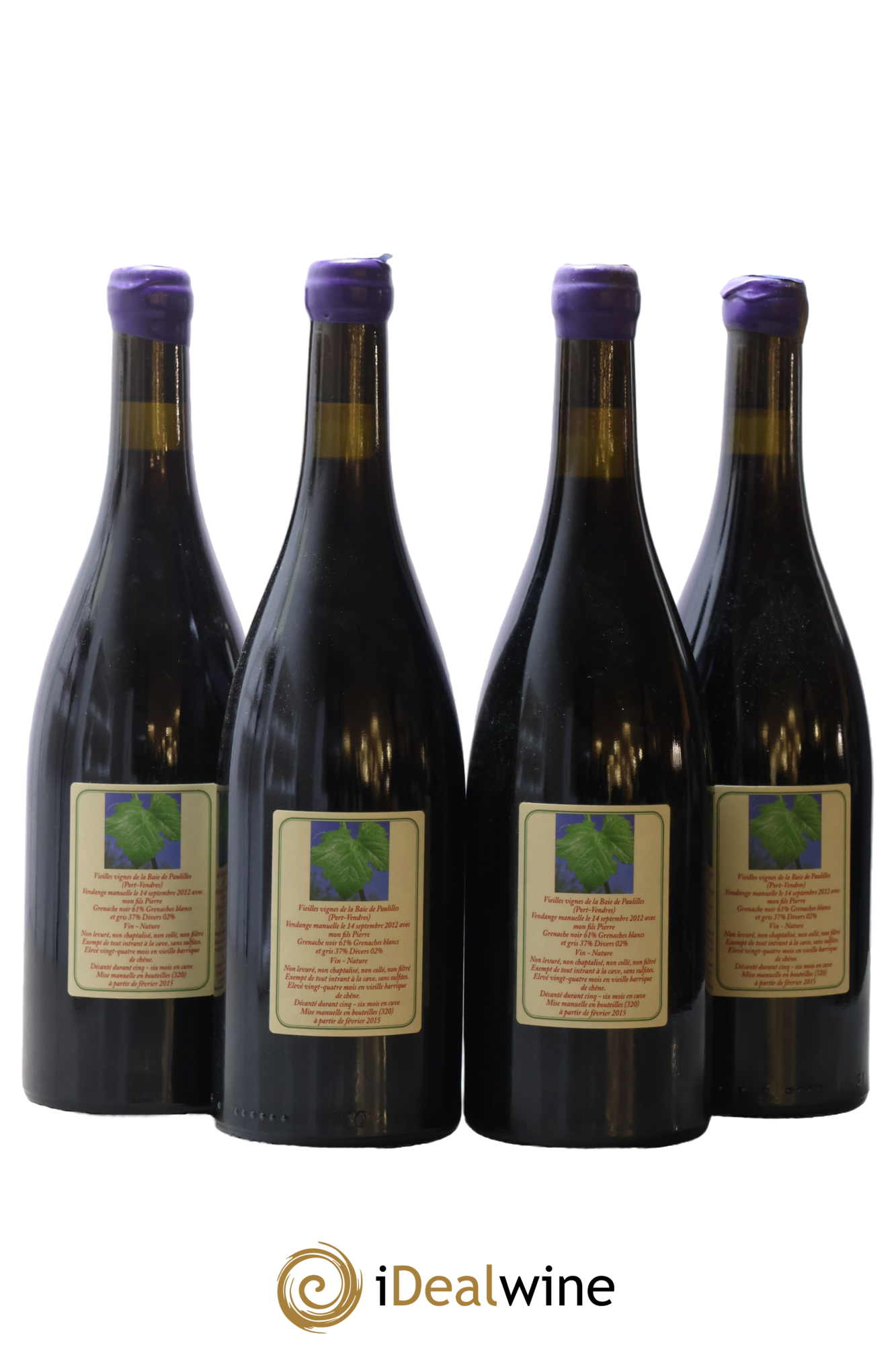 Vin de France Terre de Causse Terrrasses de Cosprons Tramontane Didier Mouton 2012 - Lot of 4 bottles - 1