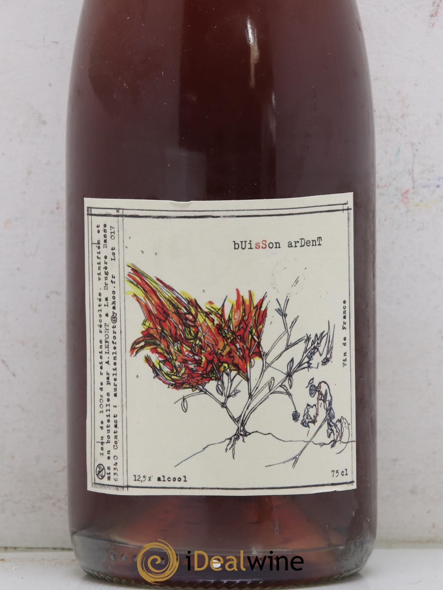 Vin de France Buisson Ardent Aurélien Lefort 2017 - Lot of 1 bottle - 1