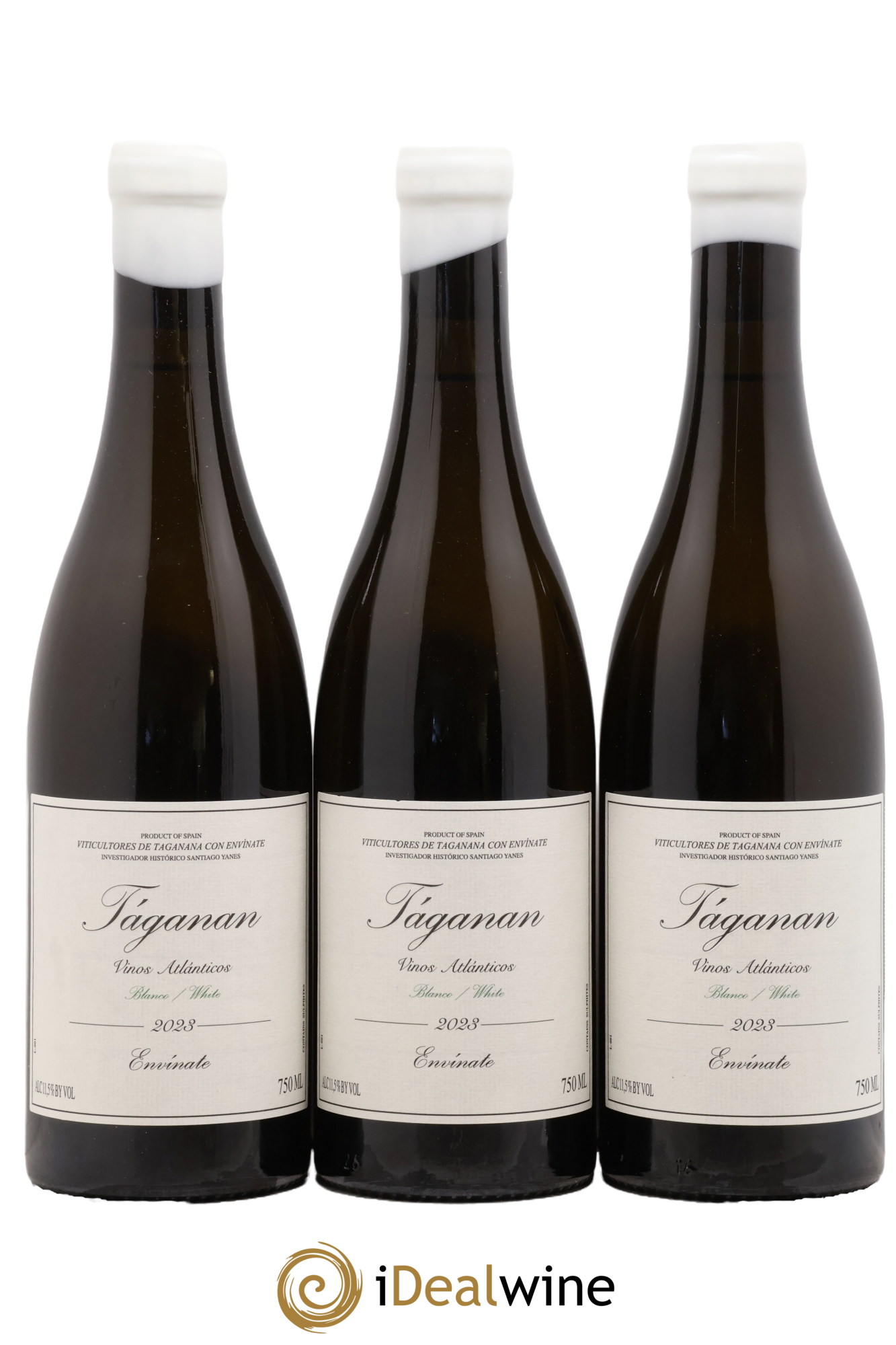 Vinos Atlántico Táganan Blanco Envinate 2023 - Posten von 3 Flaschen - 0