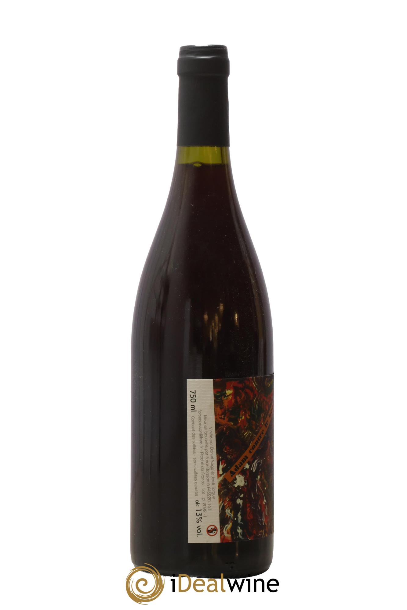 Vin de France Adam Contre le Beefsteak Daniel Sage 2021 - Lot de 1 bouteille - 1